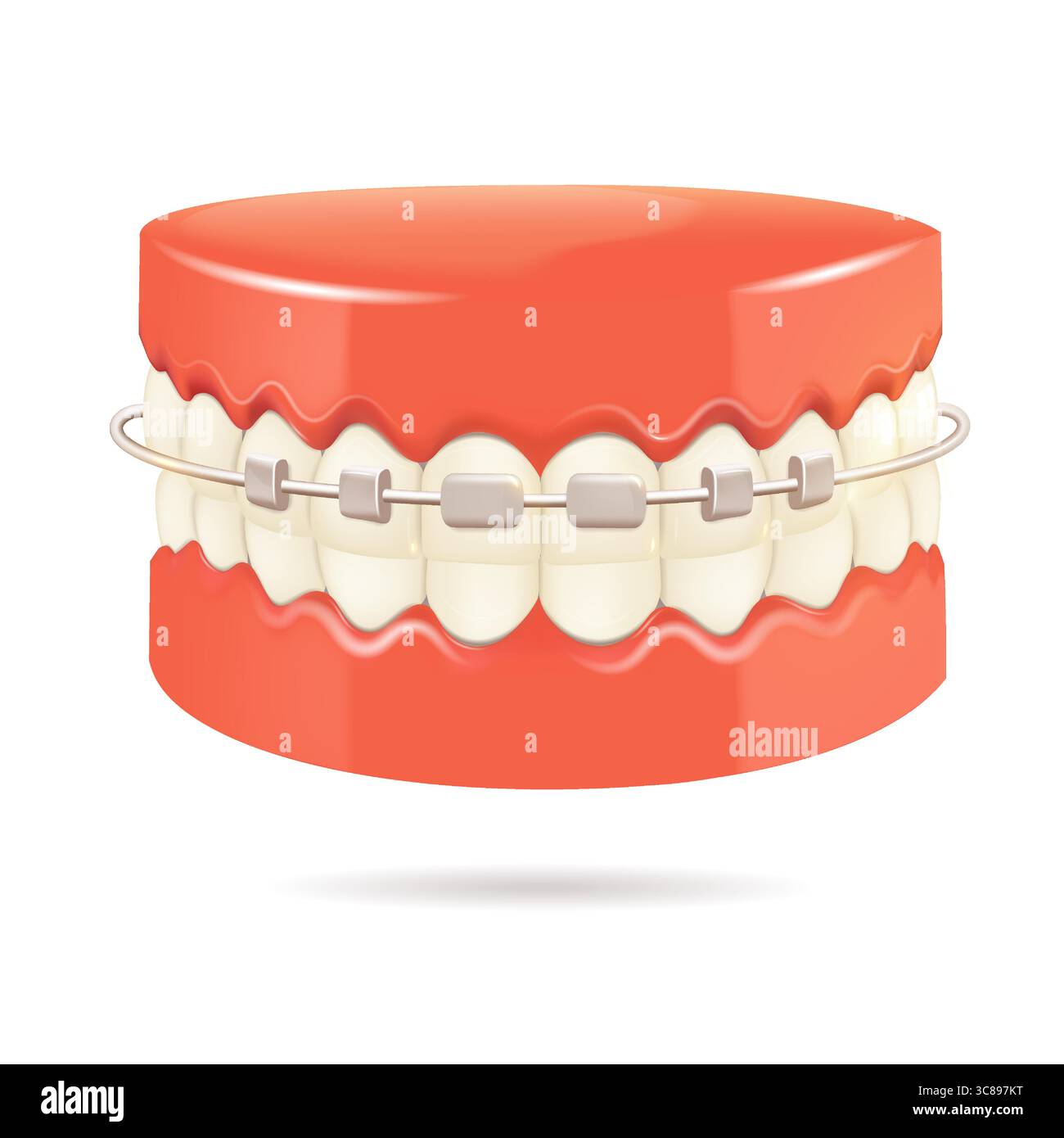 Tooth closeup adult Stock Vector Images - Alamy