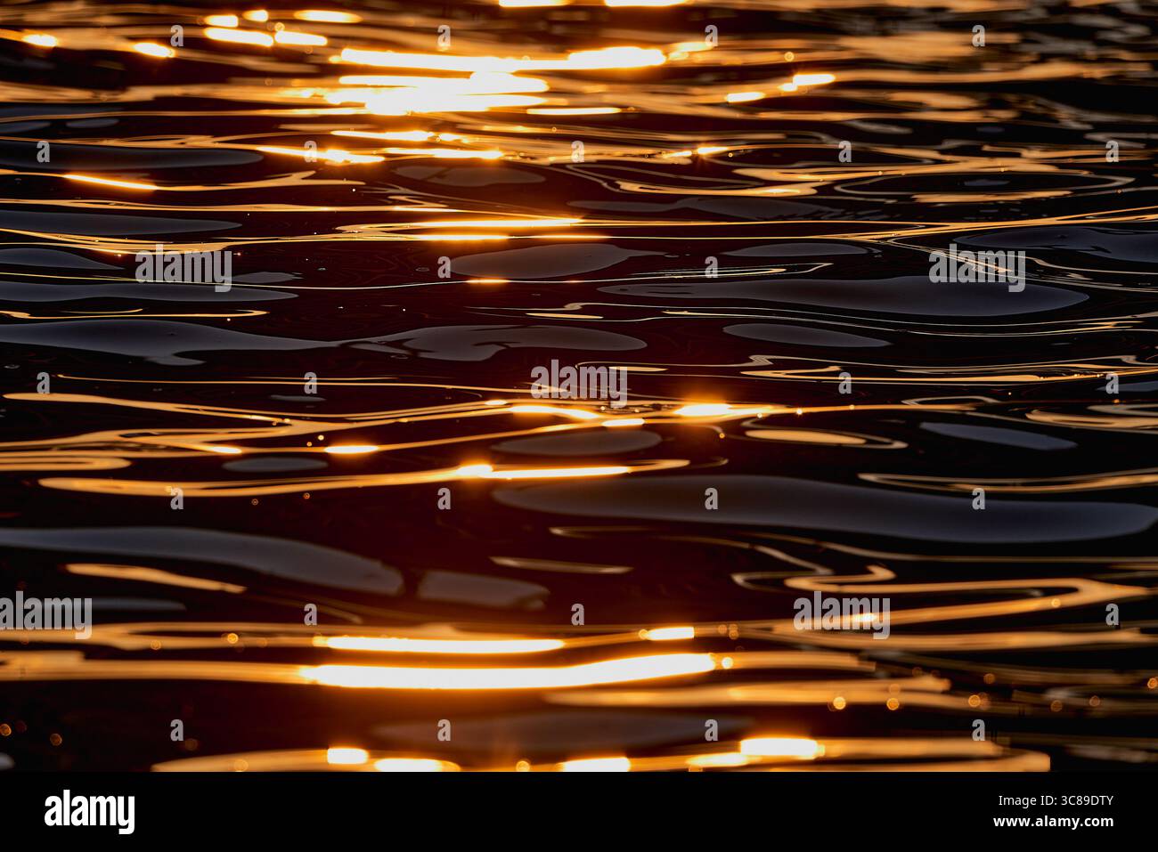 Gilded Ripples Dance Upon Molten Waters Stock Photo