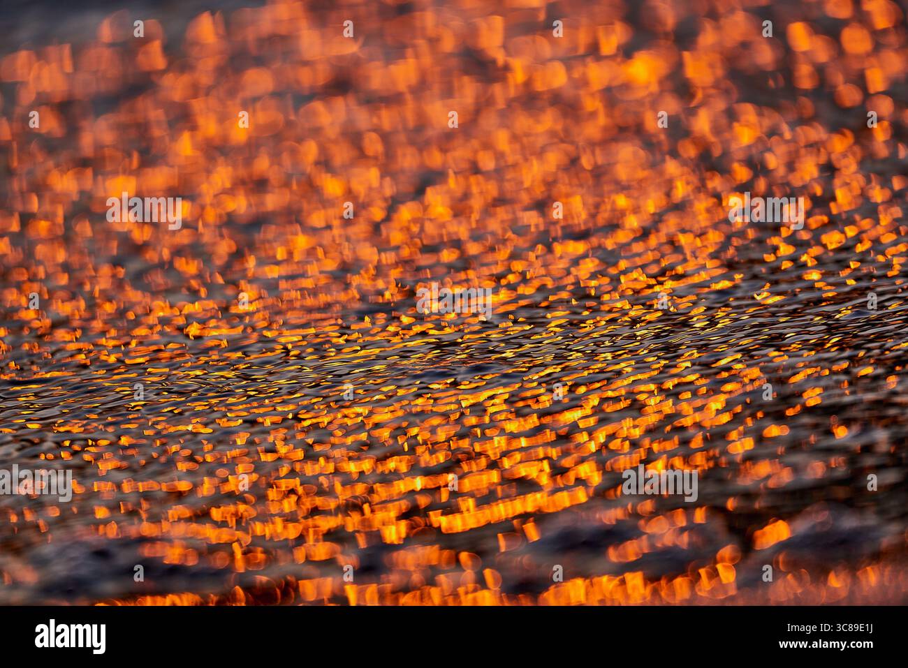 Gilded Ripples Dance Upon Molten Waters Stock Photo
