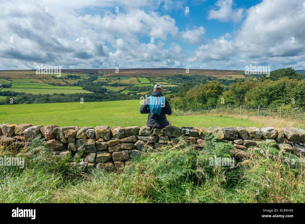 North York Moors National Park, England. UK. 3rd August, 2025. A hiker in The North York Moors National park near Whitby making the most of glorious afternoon Sunday sunshine ahead of storm Floris. Credit: Alan Dawson/Alamy Live News Stock Photo