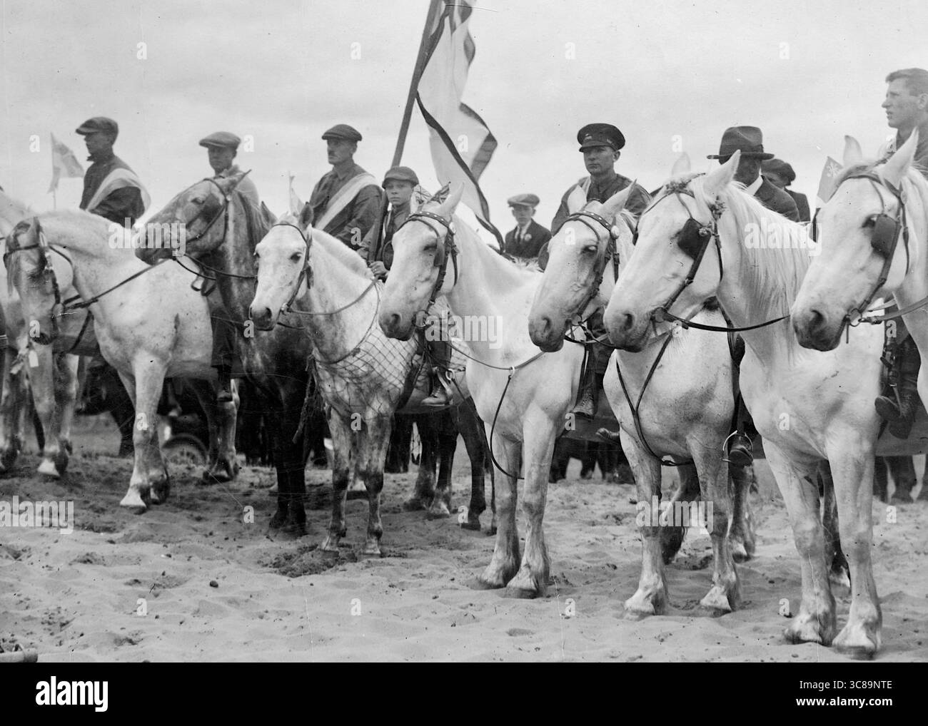 Ernest J Rawleigh - A group of men on white horses with flags in an unknown village in Ontario, Canada - between circa 1915 and circa 1925 Stock Photo