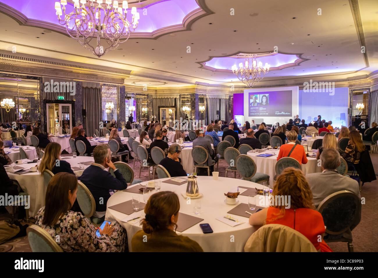 Conference delegates sitting around tables Stock Photo