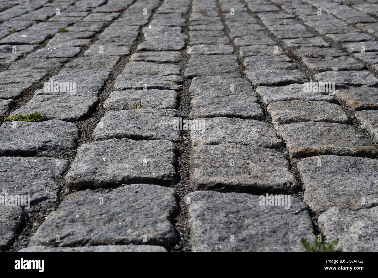 Cobble stones Stock Photo