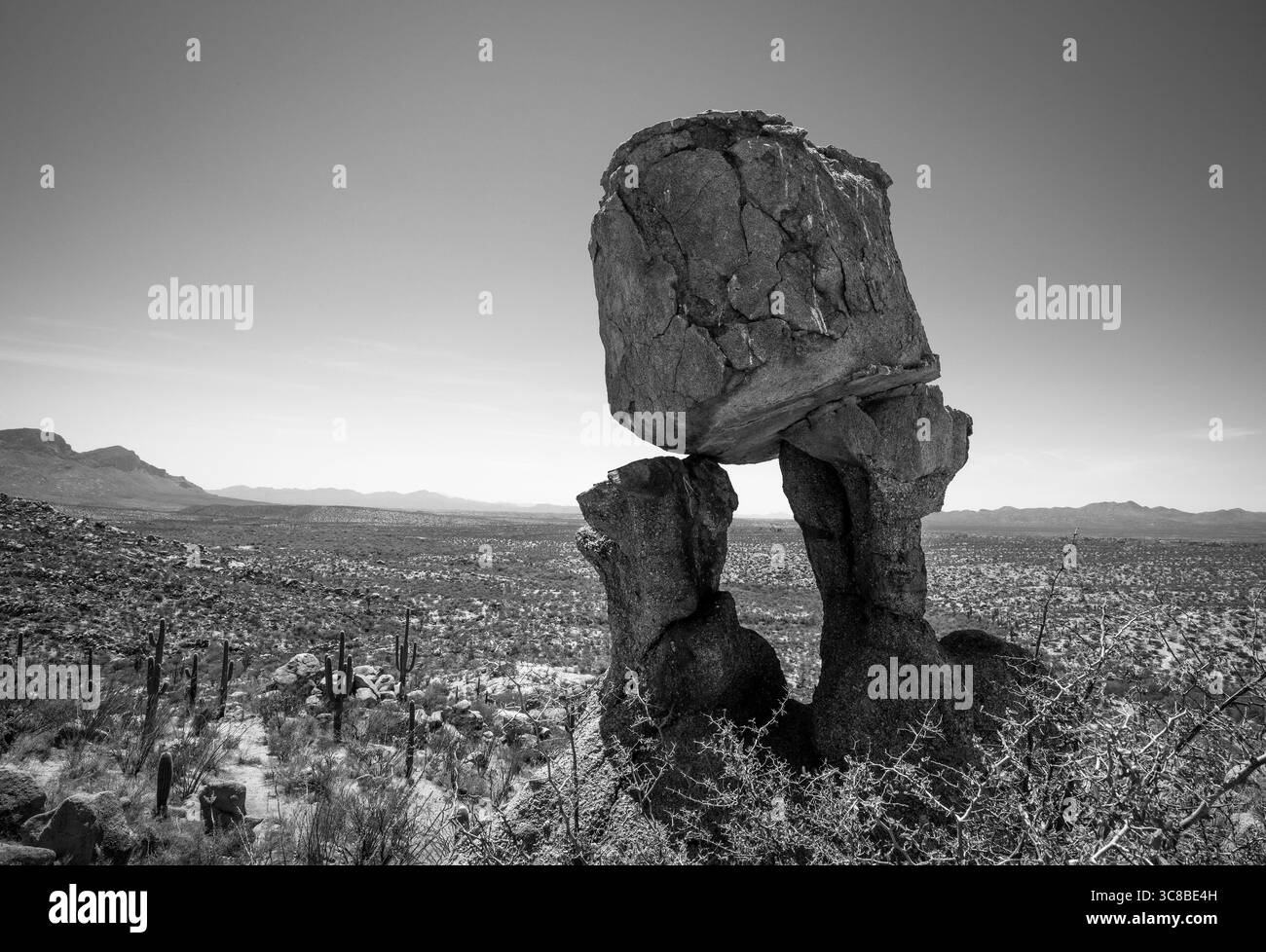 Sanoran Desert Rocks Pii rock, Sonoran Desert, Catalina, Arizona, USA Stock Photo - Alamy