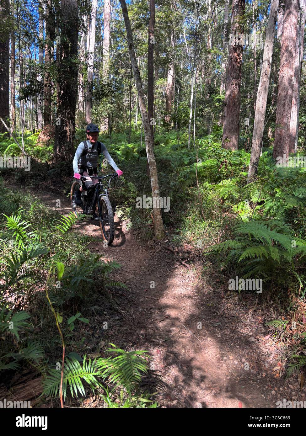 Woman mountainbiking in Parklands Conservation Park, Sunshine Coast, Queensland, Australia. No MR or PR - Smartphone Captured Stock Image