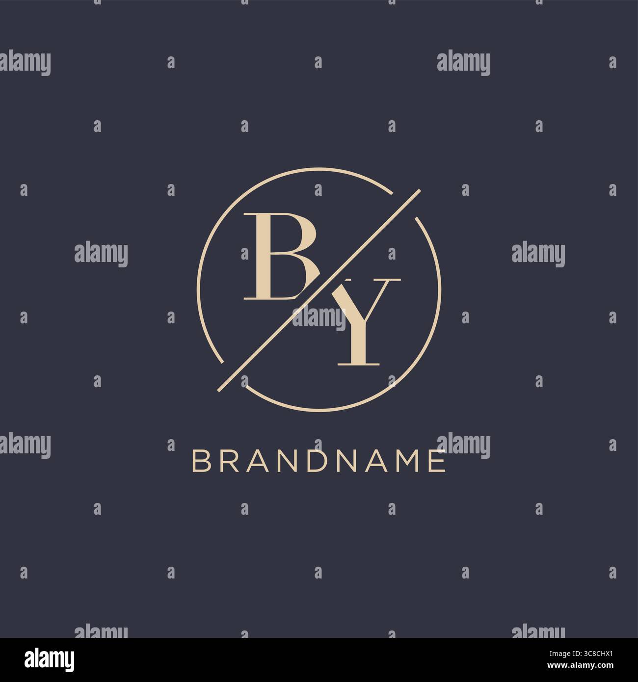 Initial letter BY logo with simple circle line elegant look monogram logo style vector graphic Stock Vector