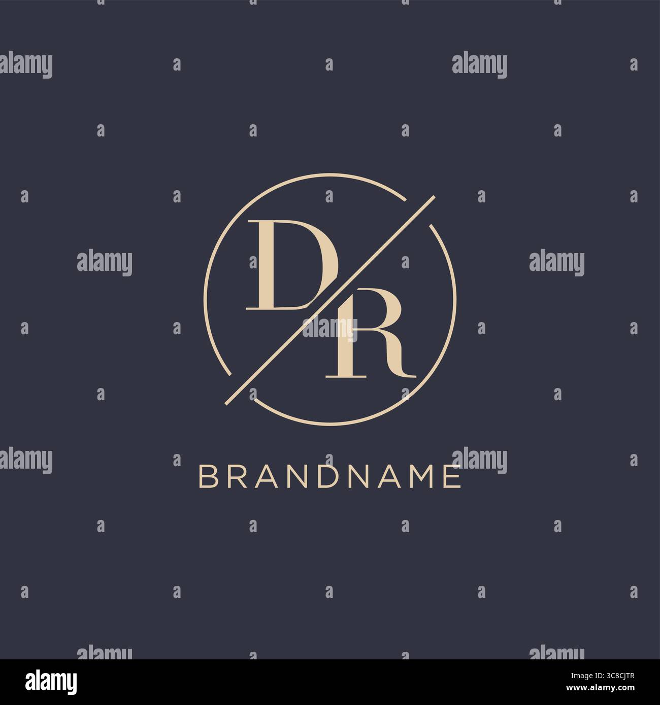 Initial letter DR logo with simple circle line elegant look monogram logo style vector graphic Stock Vector