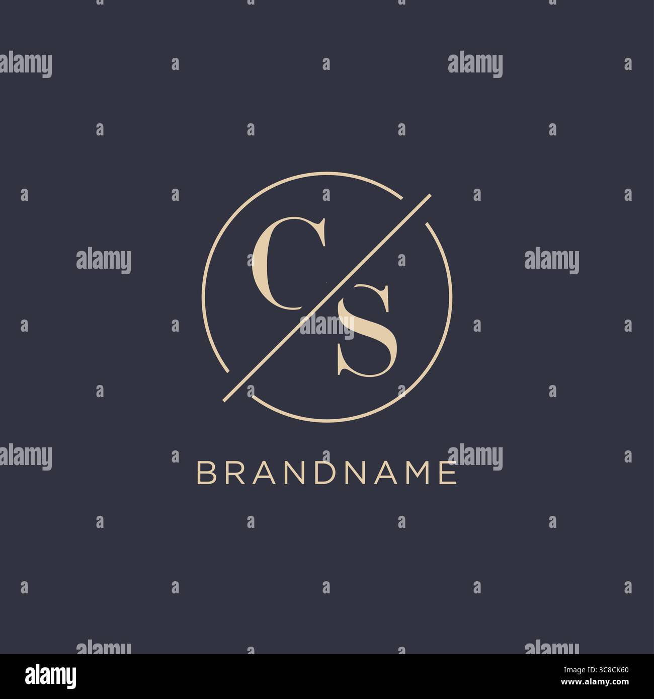 Initial letter CS logo with simple circle line elegant look monogram logo style vector graphic Stock Vector