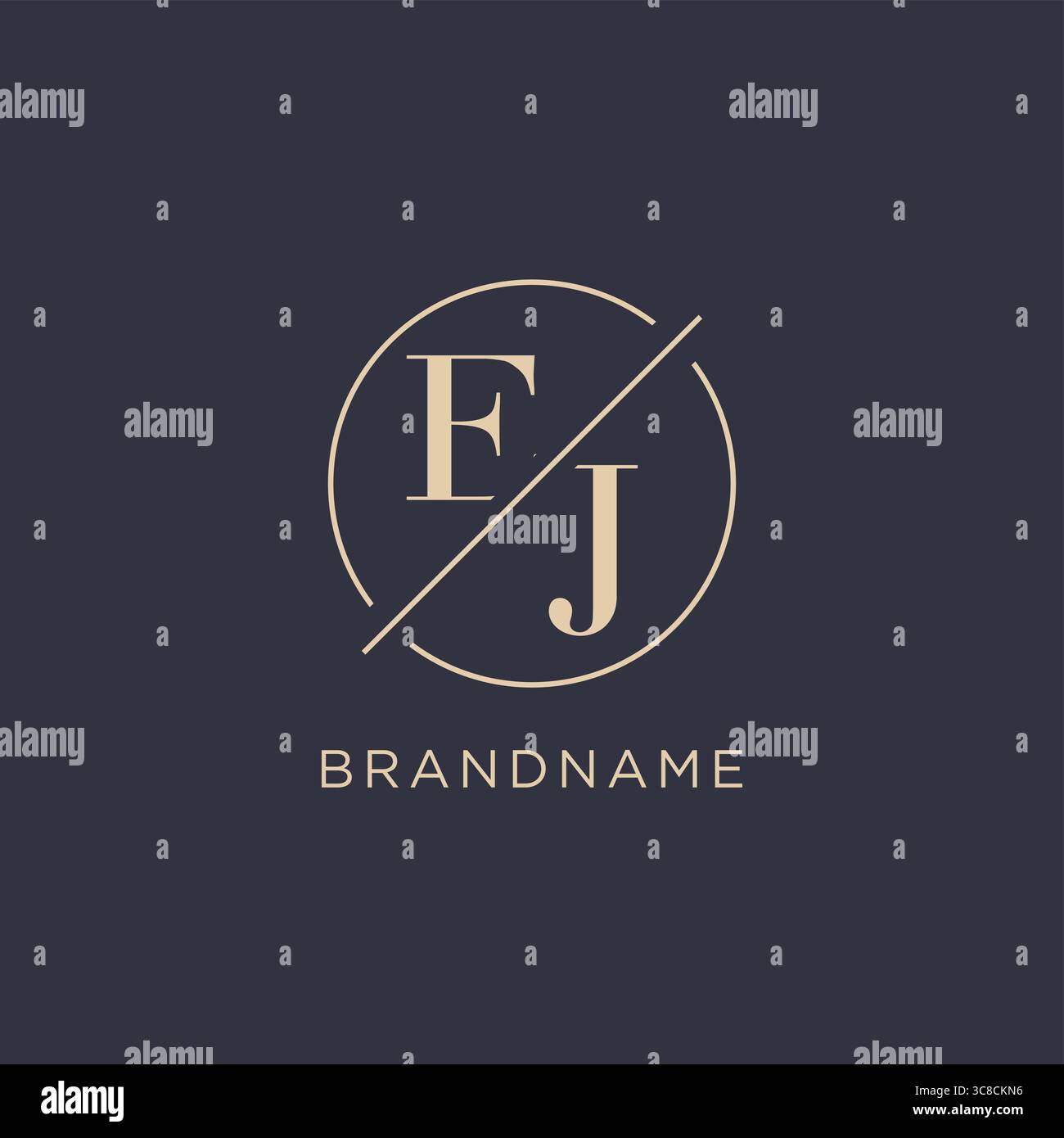 Initial letter EJ logo with simple circle line elegant look monogram logo style vector graphic Stock Vector
