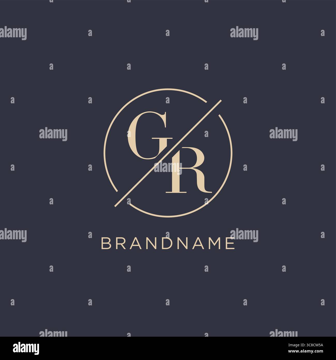 Initial letter GR logo with simple circle line elegant look monogram logo style vector graphic Stock Vector