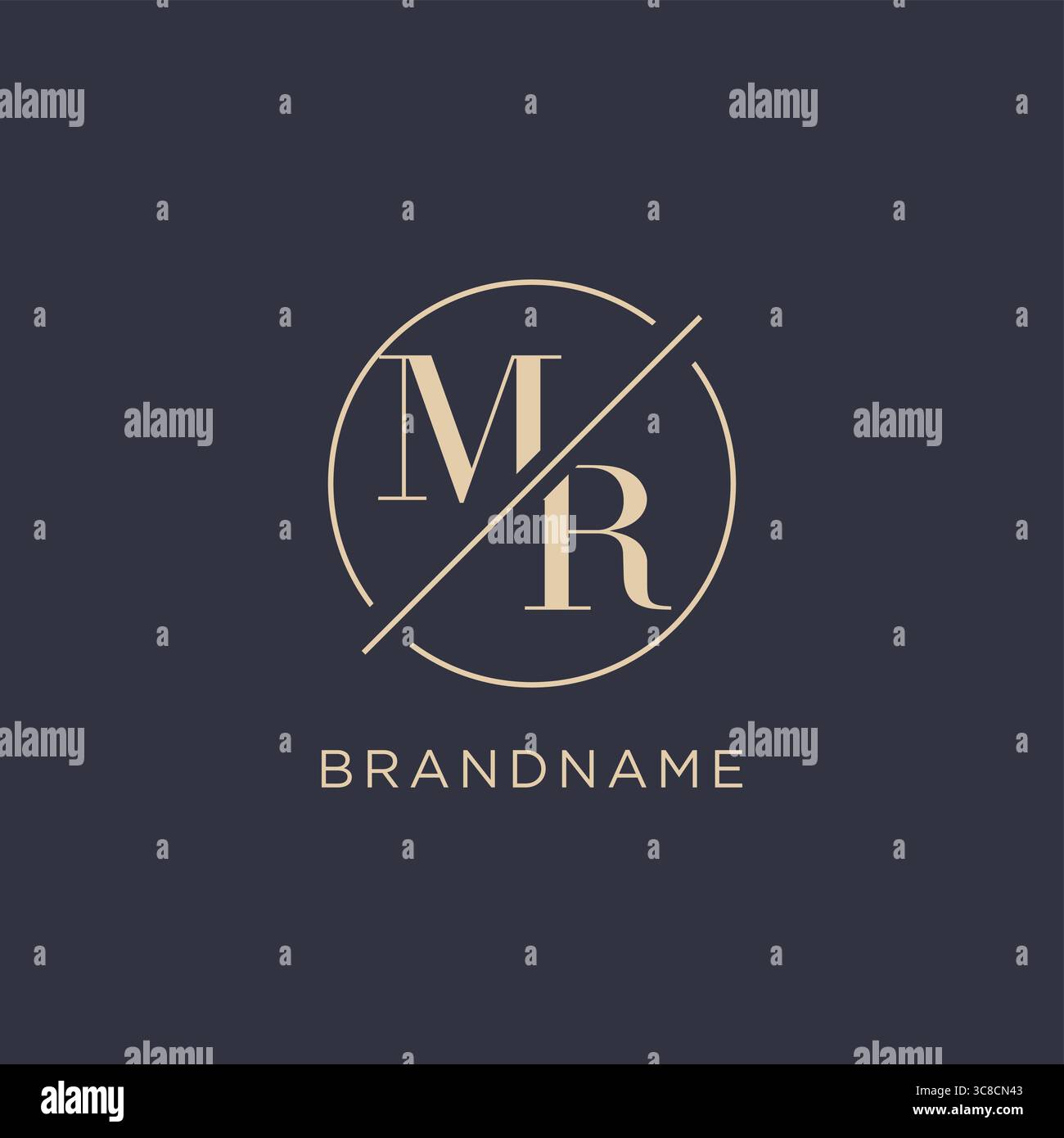 Initial letter MR logo with simple circle line elegant look monogram logo style vector graphic Stock Vector