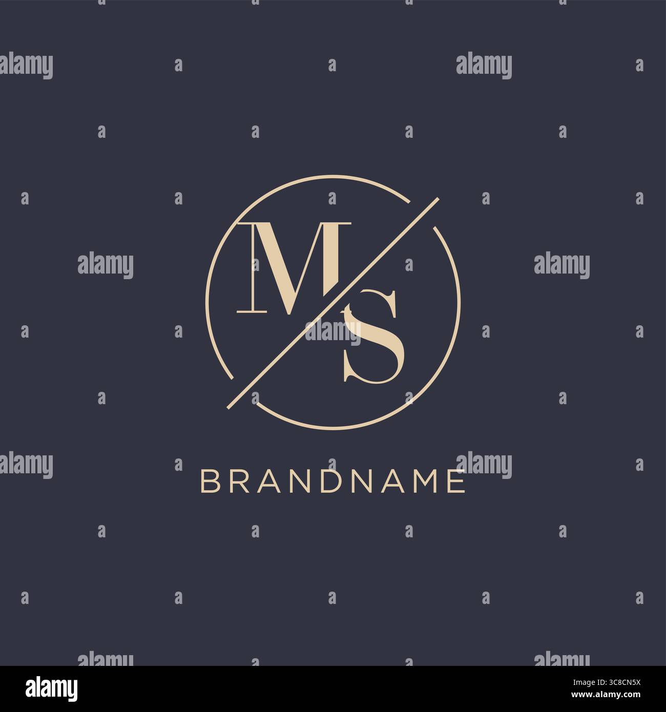 Initial letter MS logo with simple circle line elegant look monogram logo style vector graphic Stock Vector
