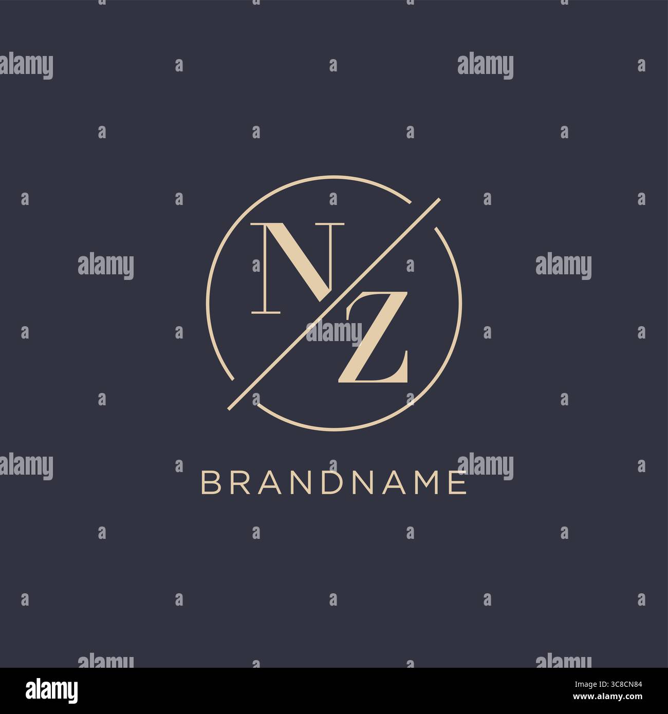 Initial letter NZ logo with simple circle line elegant look monogram logo style vector graphic Stock Vector