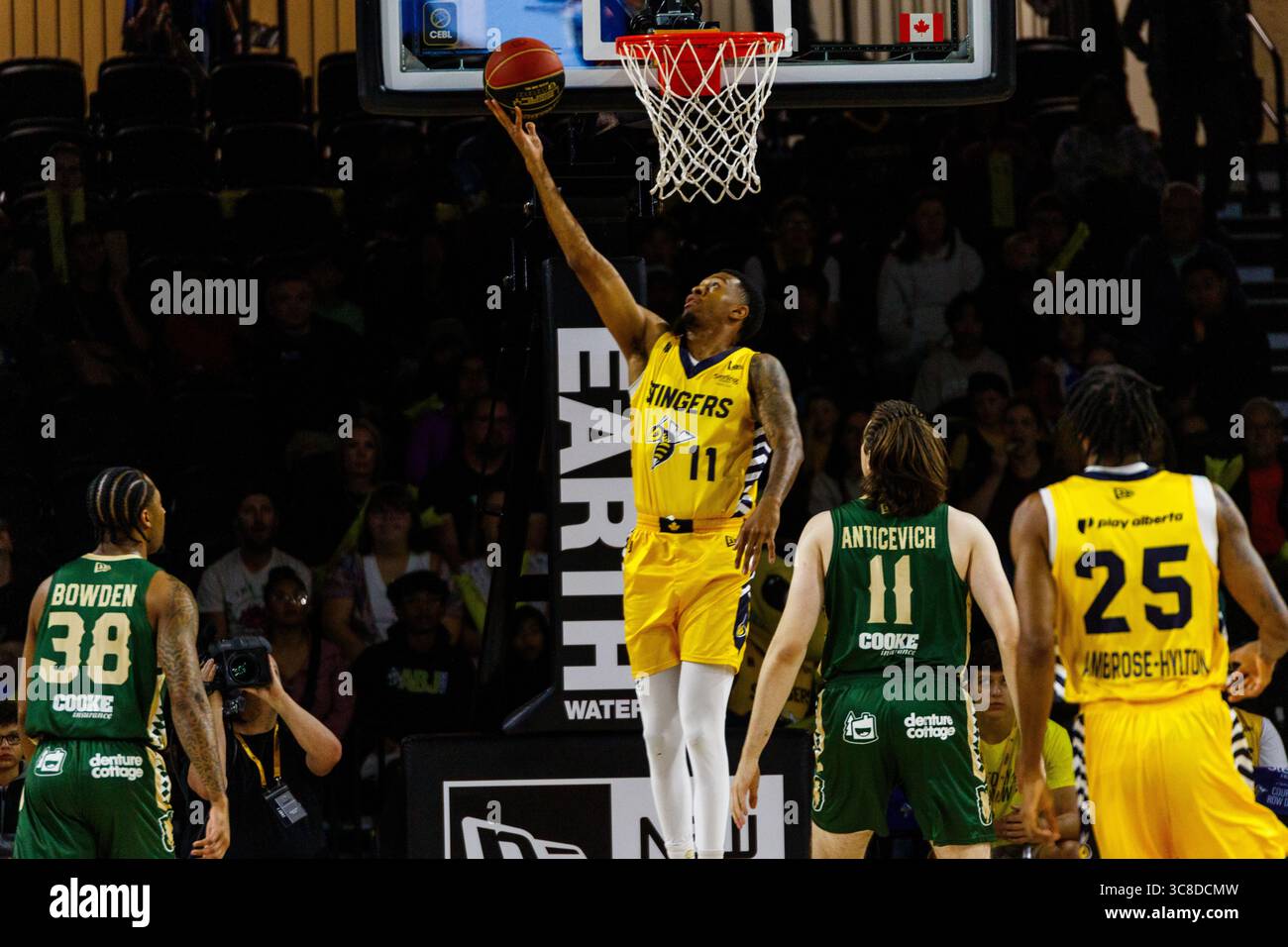 Edmonton, Canada. 03rd Aug, 2025. (11) Nick Hornsby of the Edmonton Stingers in Regular Season CEBL action at Edmonton Expo Centre. Credit: SOPA Images Limited/Alamy Live News Stock Photo