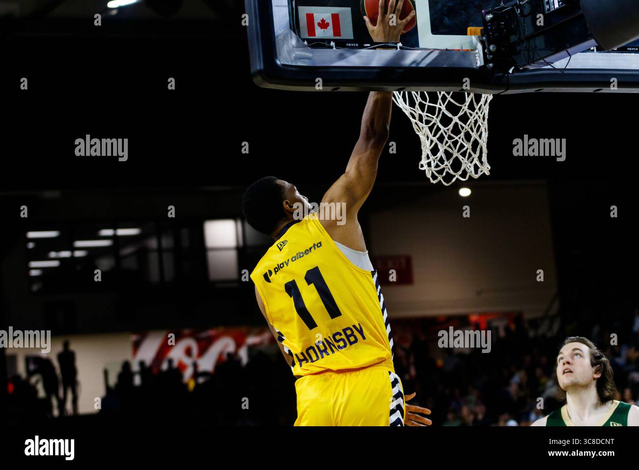 Edmonton, Canada. 03rd Aug, 2025. (11) Nick Hornsby of the Edmonton Stingers slam dunks the ball in Regular Season CEBL action at Edmonton Expo Centre. Credit: SOPA Images Limited/Alamy Live News Stock Photo