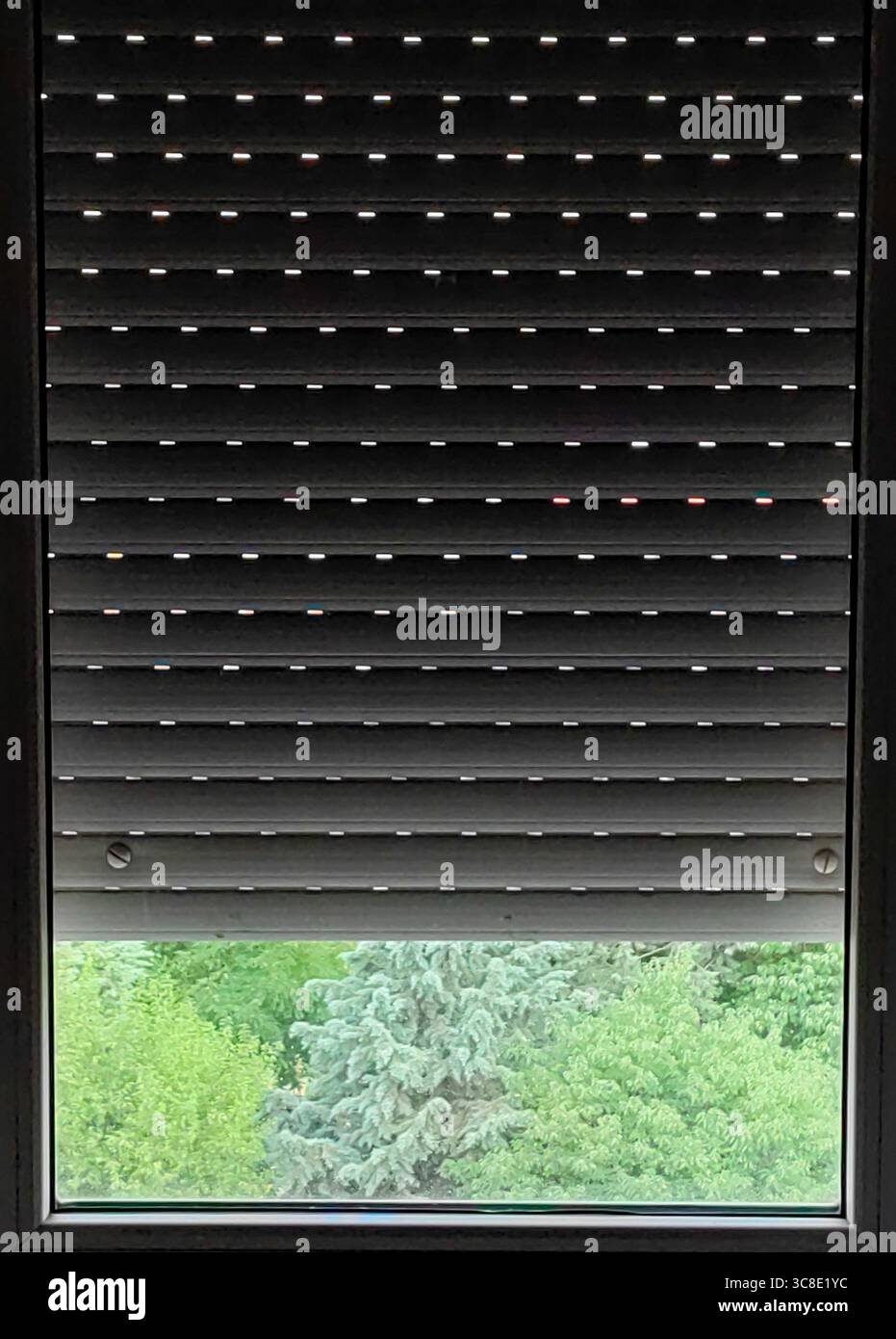 Framed Nature Through White Blinds Stock Photo