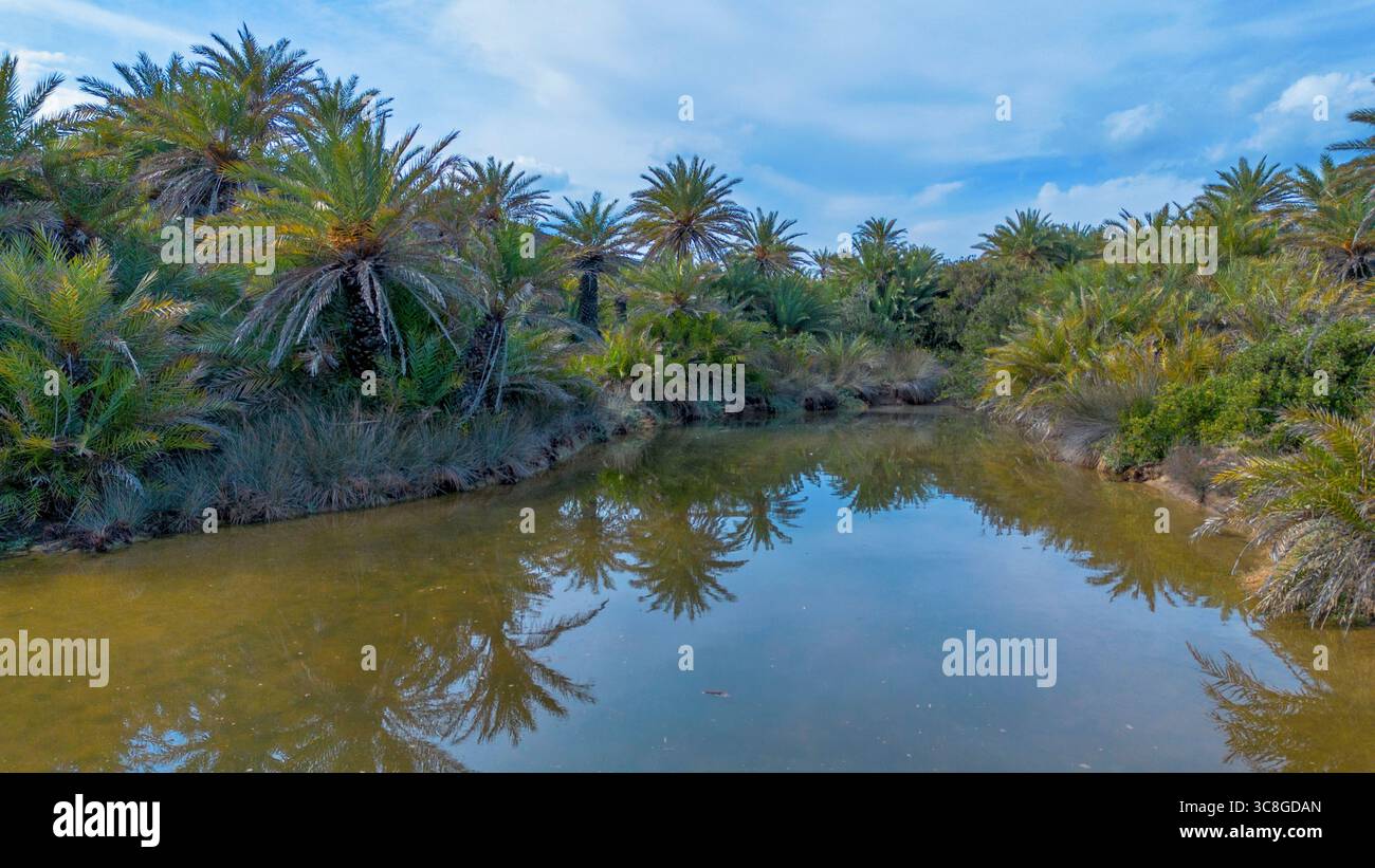 The palm oasis of Vai in Crete, Greece Stock Photo - Alamy