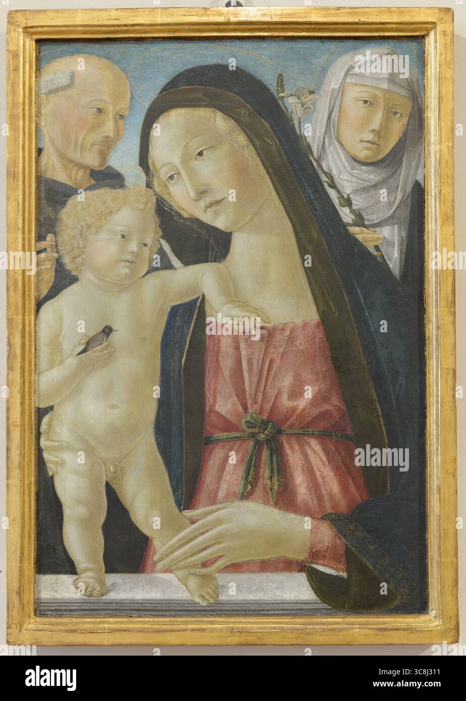 Madonna and child with saints bernardino and catherine of hi-res stock ...