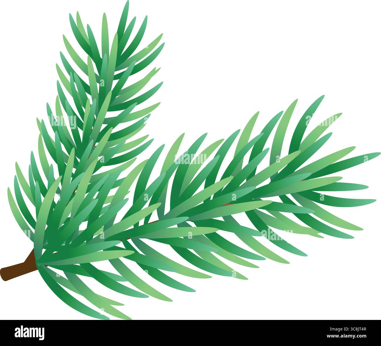 Green Pine Tree Branch Isolated on White Background, vector ...