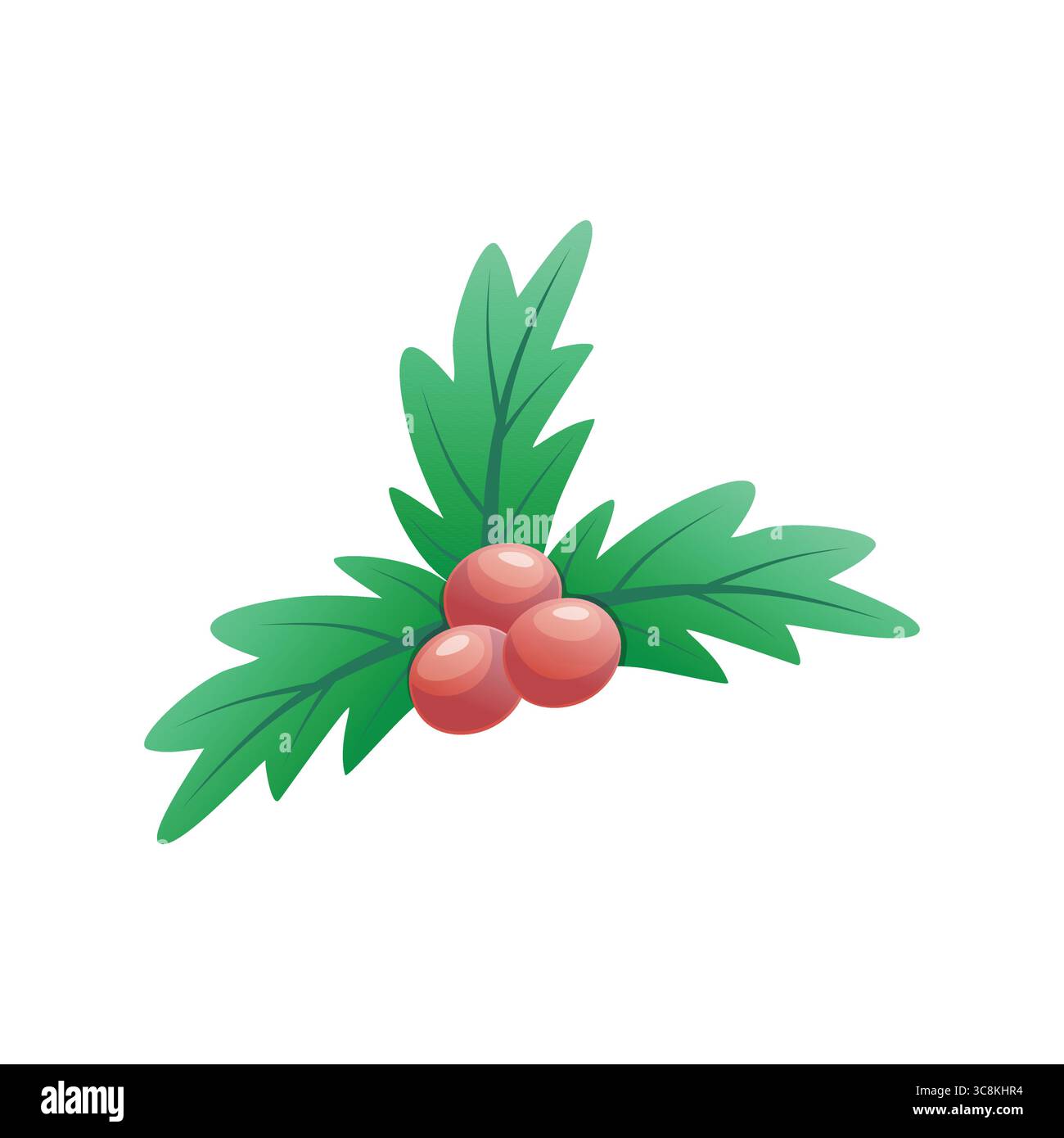 Christmas Red Berries with Green Leaves Isolated on White Background ...