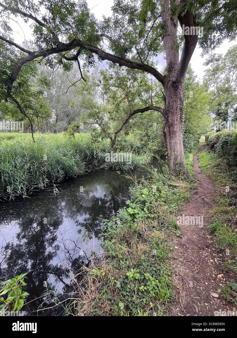 Old canal hi-res stock photography and images - Alamy