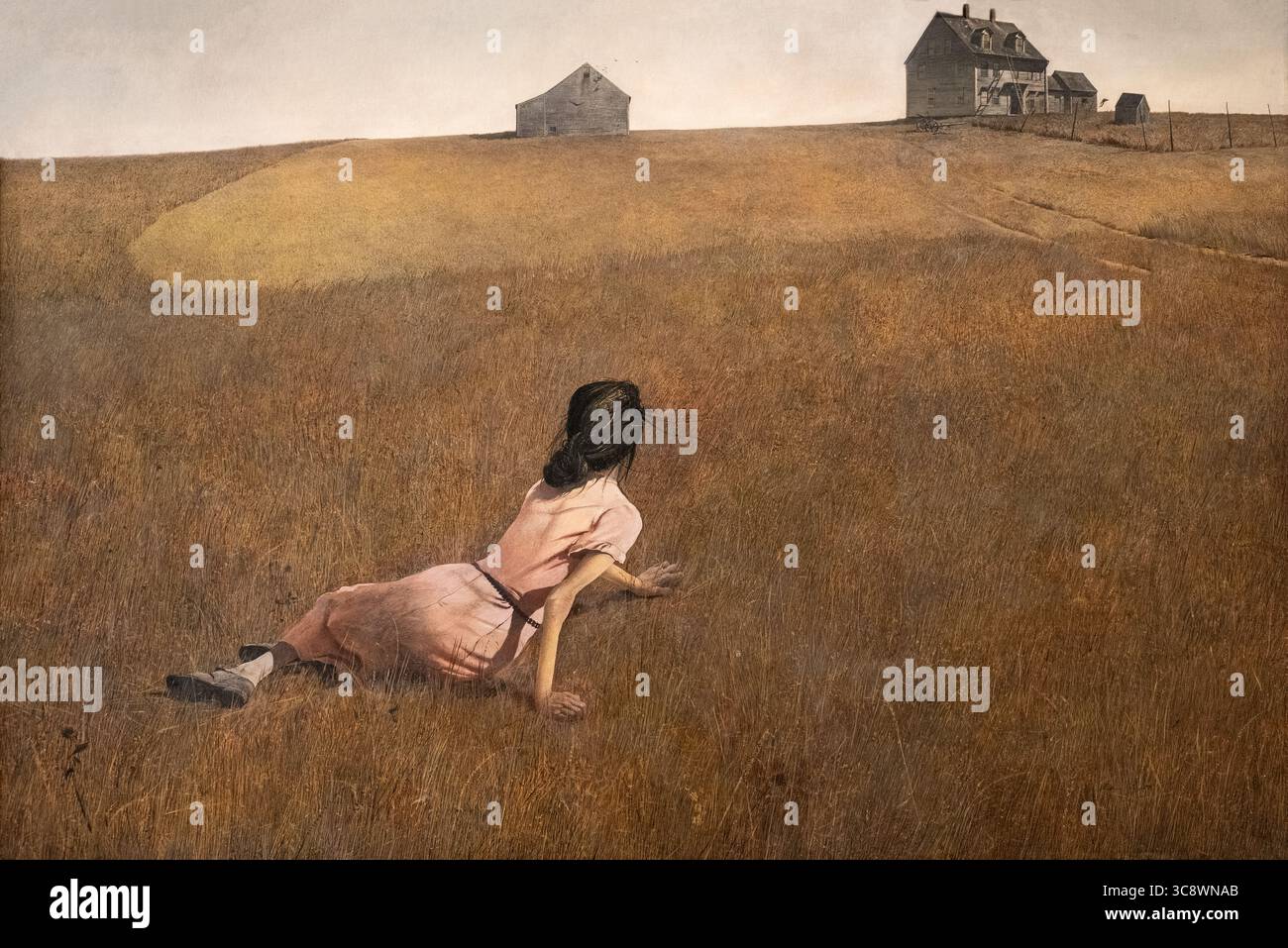 painting called Christina's World by Andrew Wyeth at the MOMA art