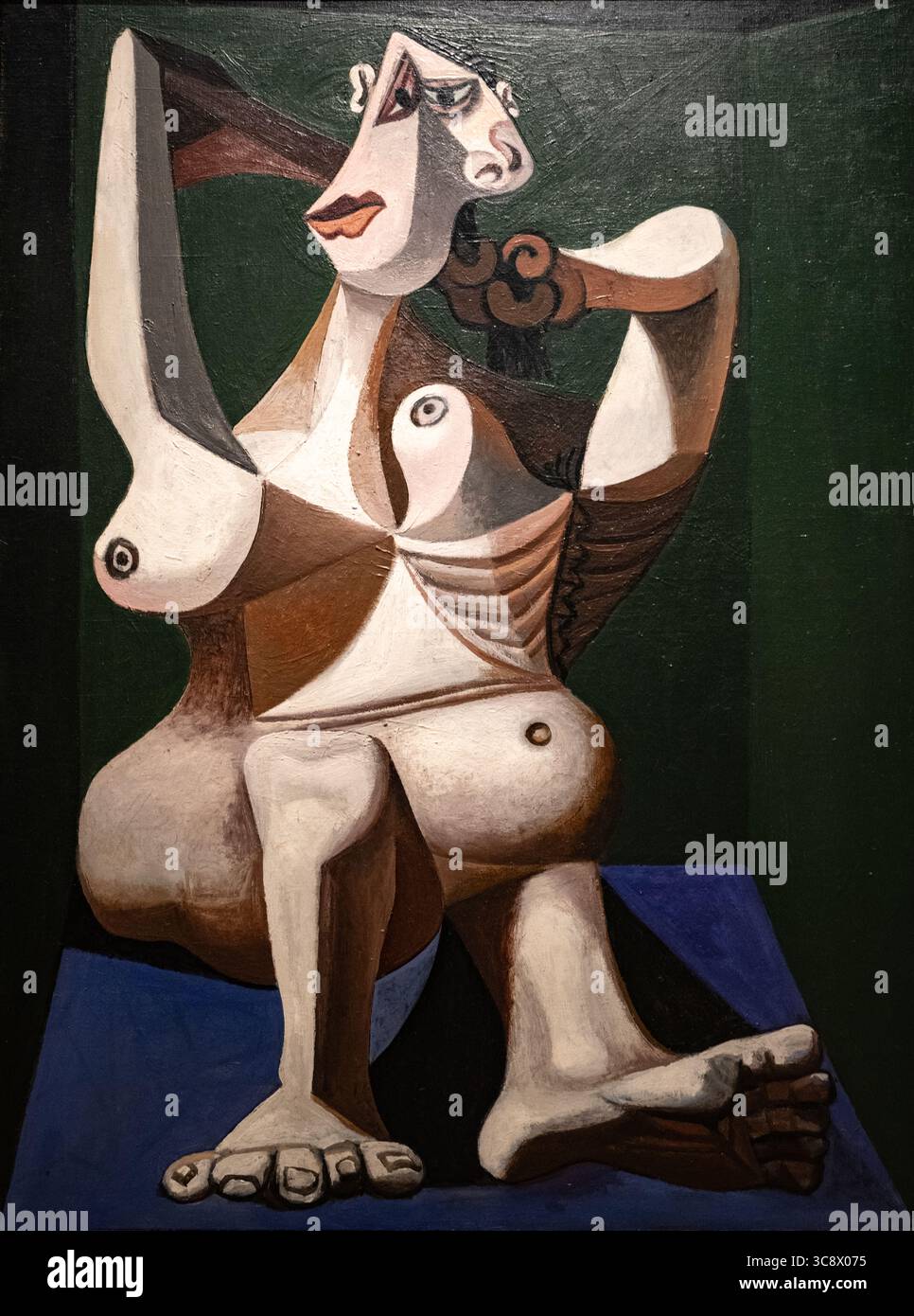 painting called Woman Dressing Her Hair by Pablo Picasso at the MOMA art museum in New York Stock Photo
