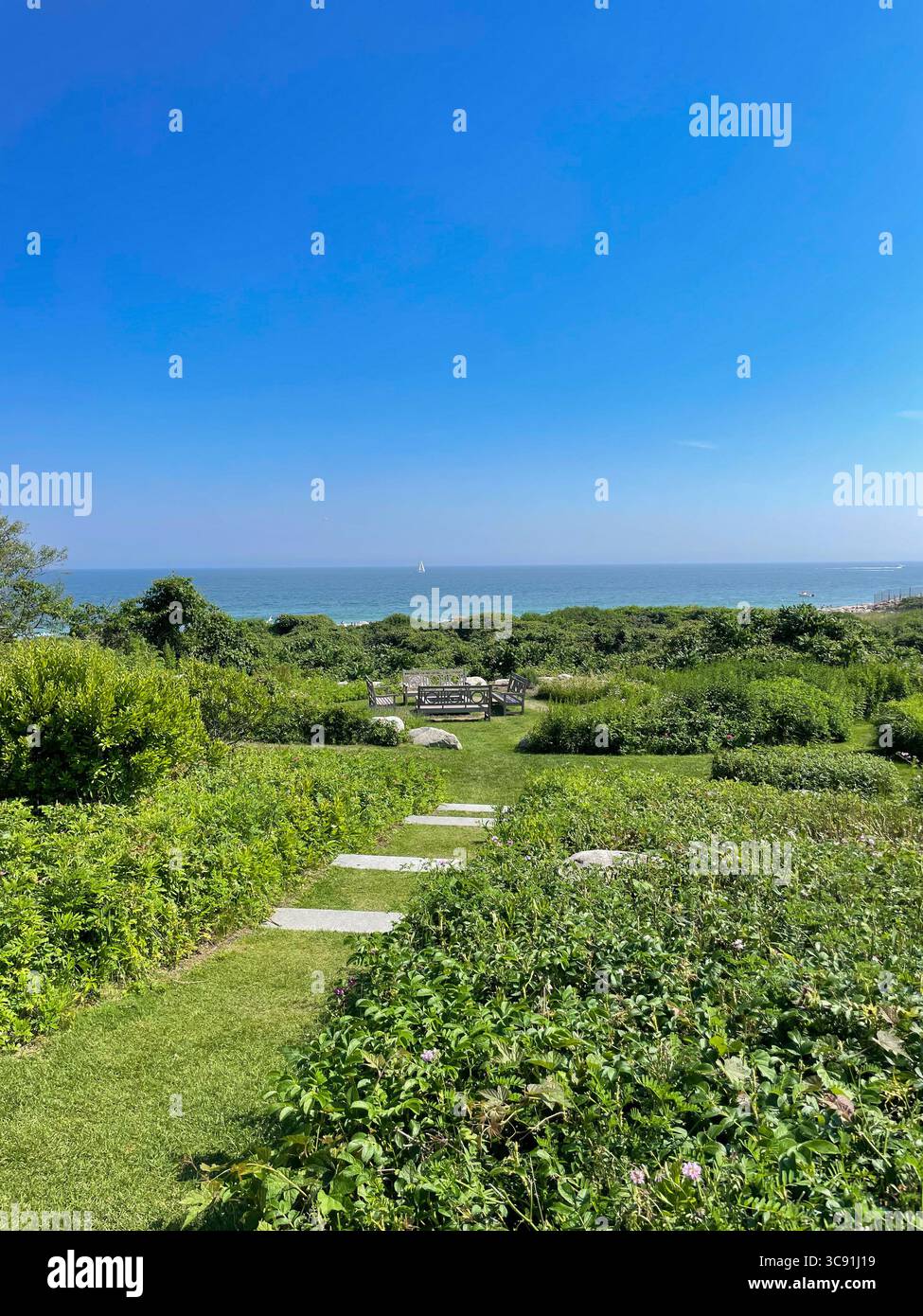 Path of flat stones surrounded by greenery leads to benches overlooking the ocean with a single sailboat in the distance - Smartphone Captured Stock Image