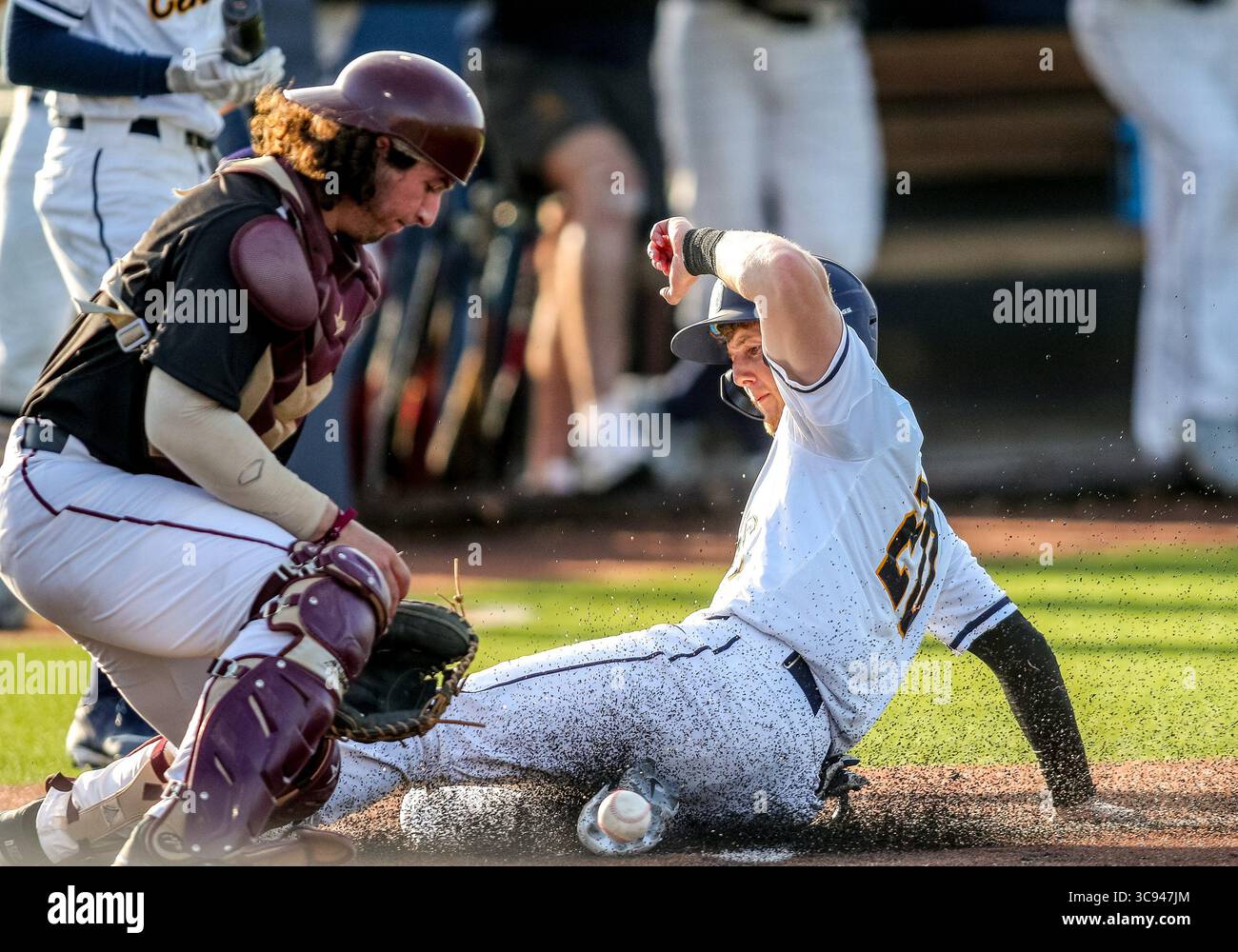 Hopkins baseball hi-res stock photography and images - Alamy
