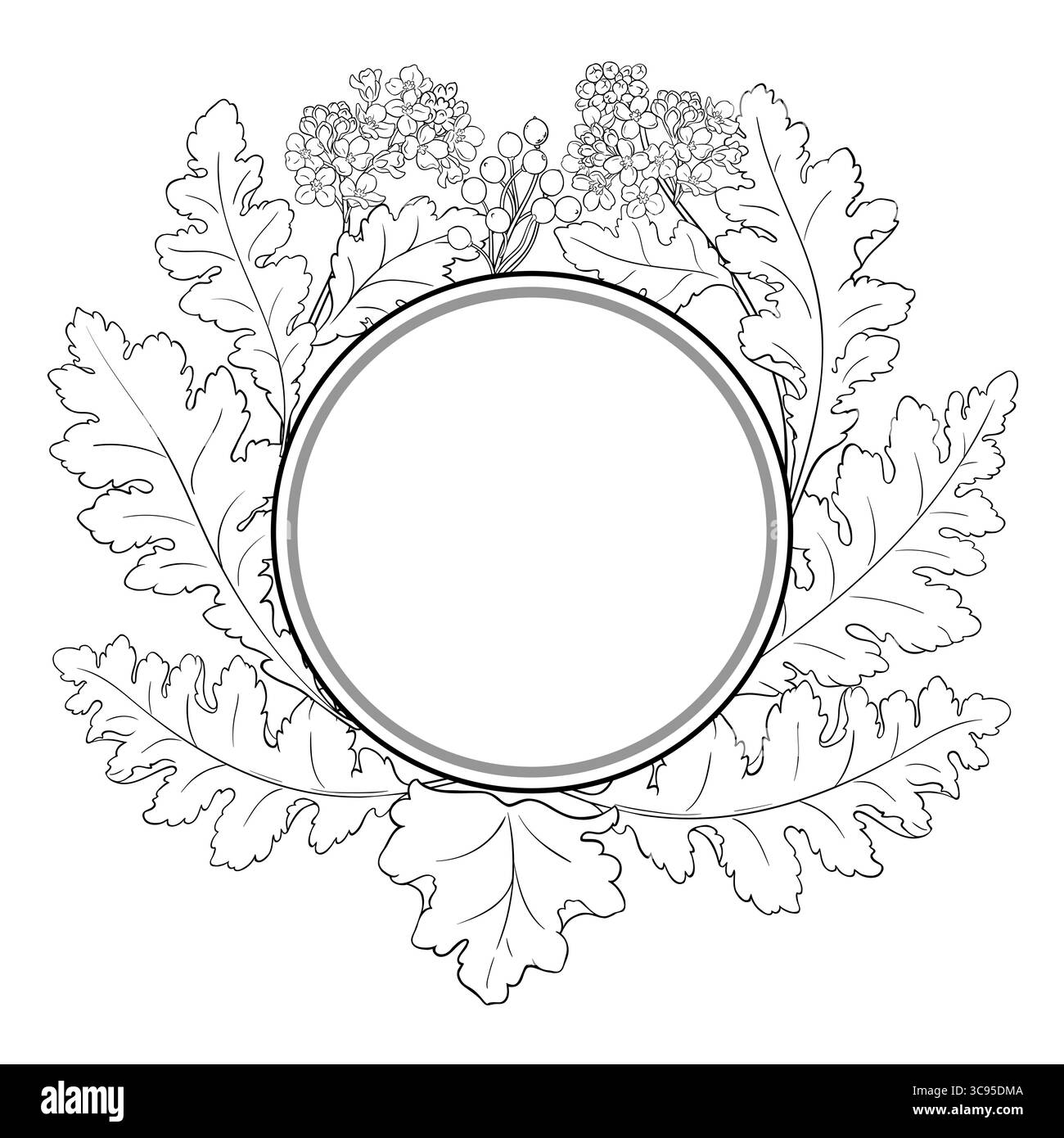 Crambe Plant Outline Round Frame. Stock Vector