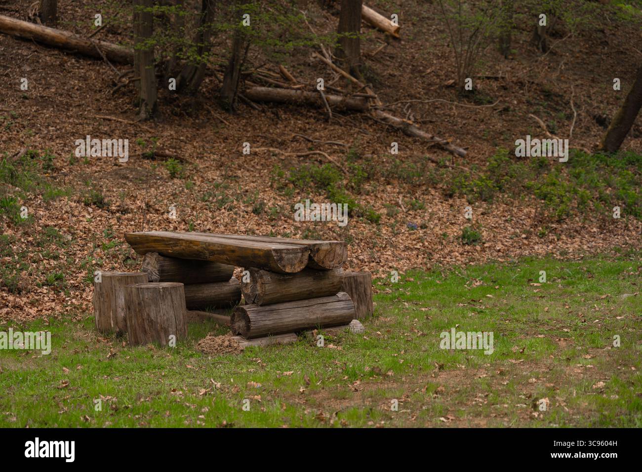Rustic wooden picnic table with log benches in forest clearing ...