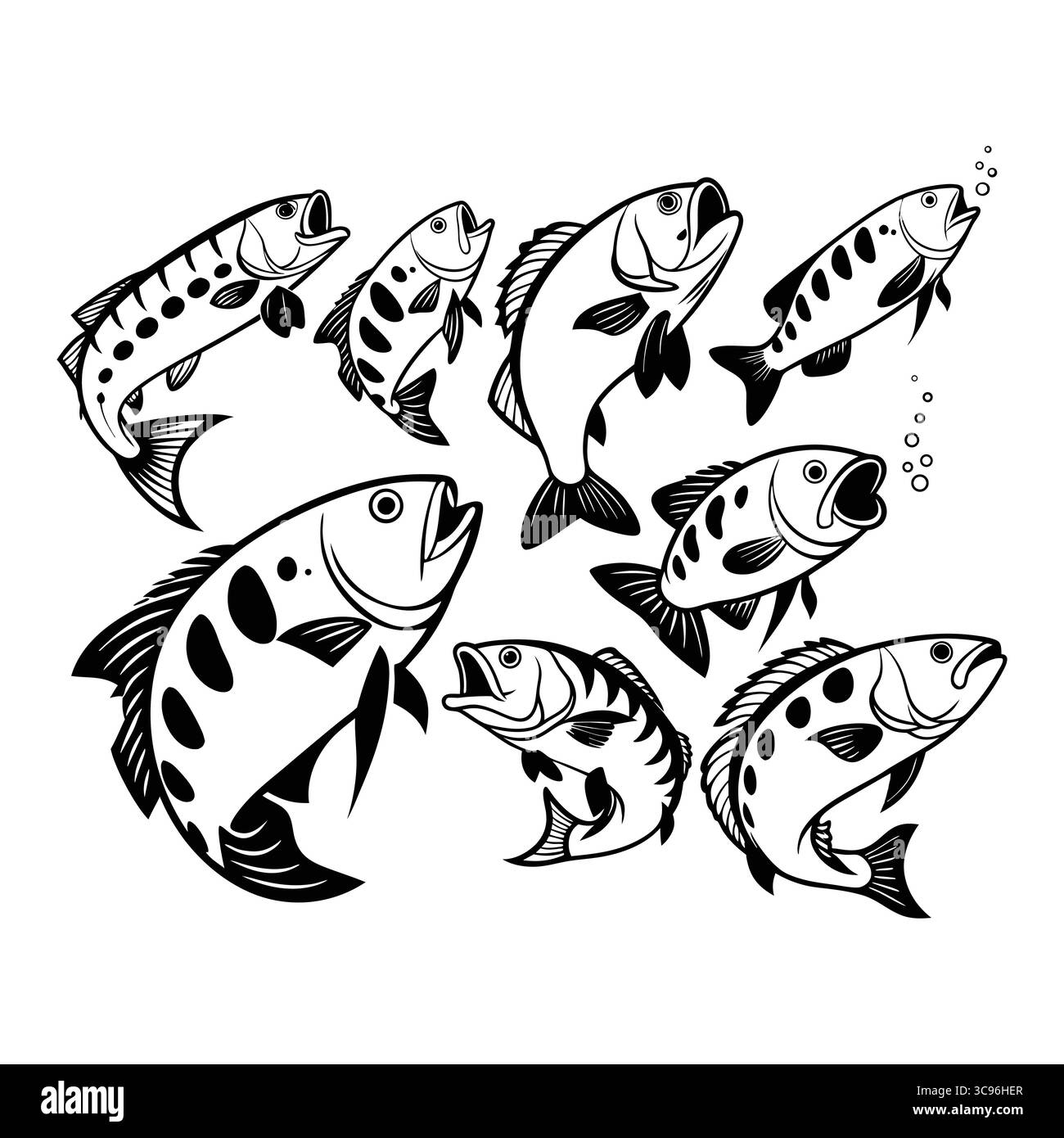 Black and White Illustrations of Archer Fish with Unique Patterns and ...