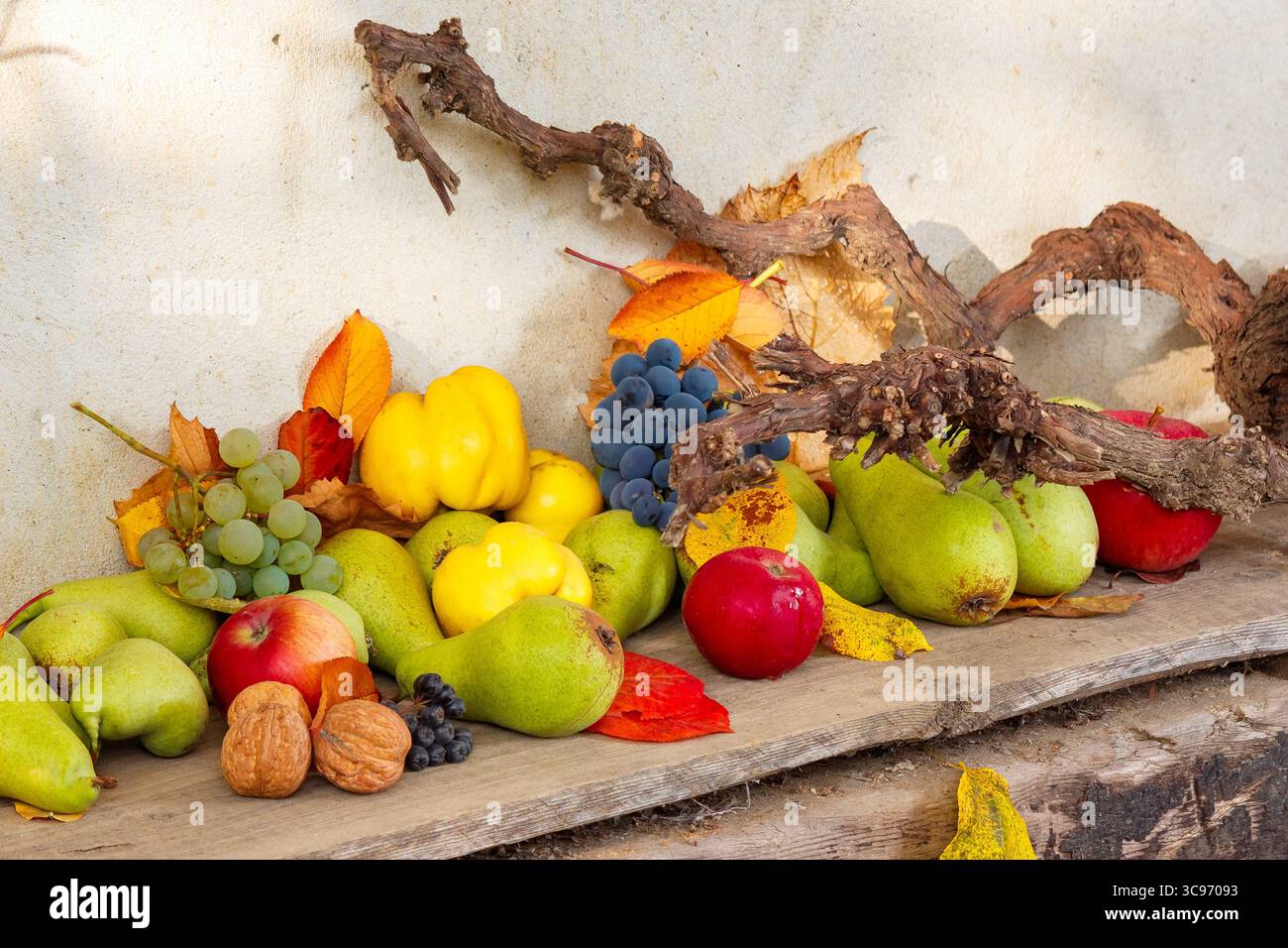 variety of ripe fruits on the wood. autumn harvest rustic composition. rural organic food in fall season. applicable as thanksgiving background Stock Photo