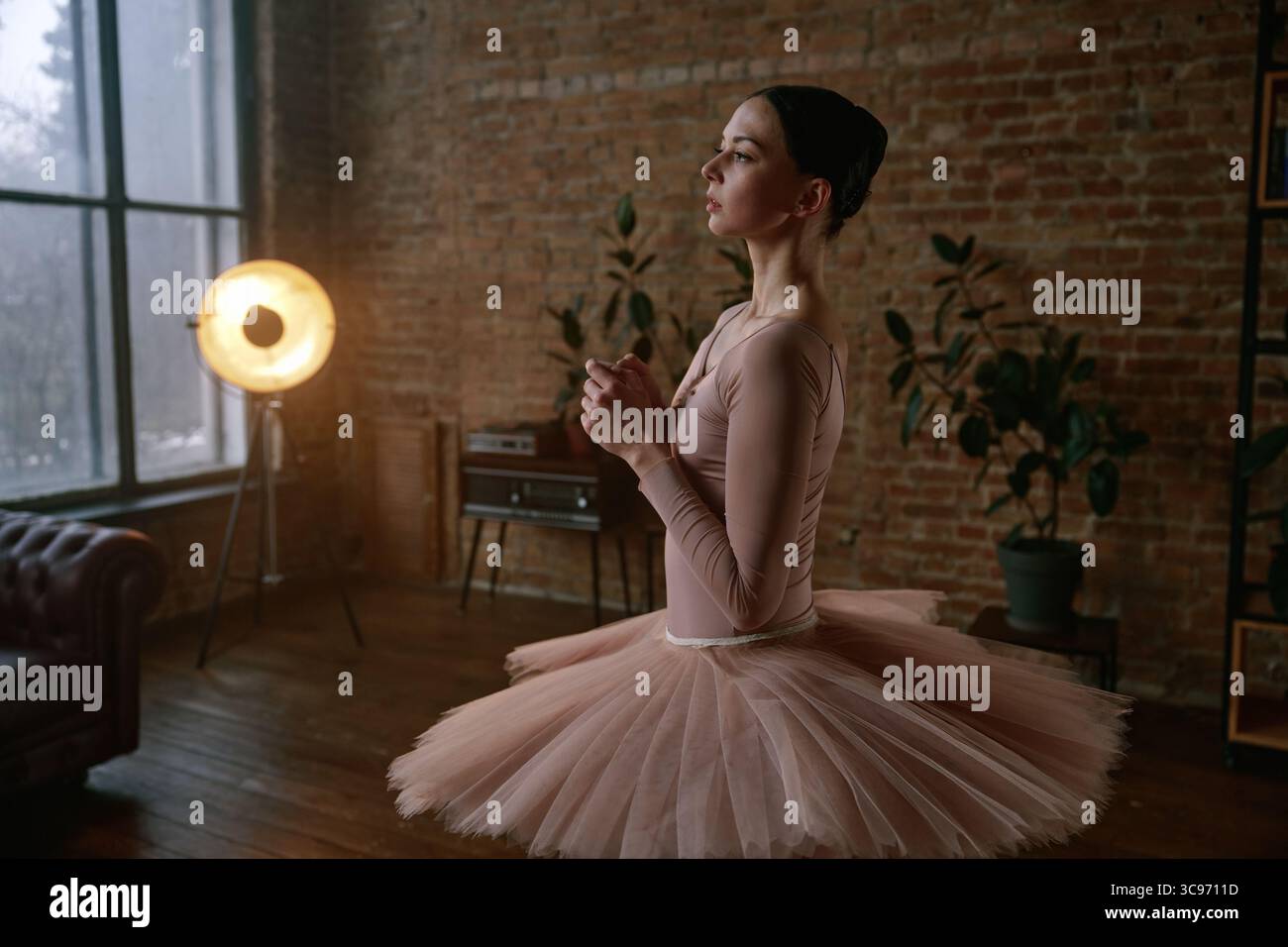 An elegant ballerina graciously posing in a beautiful tutu dress in a ...