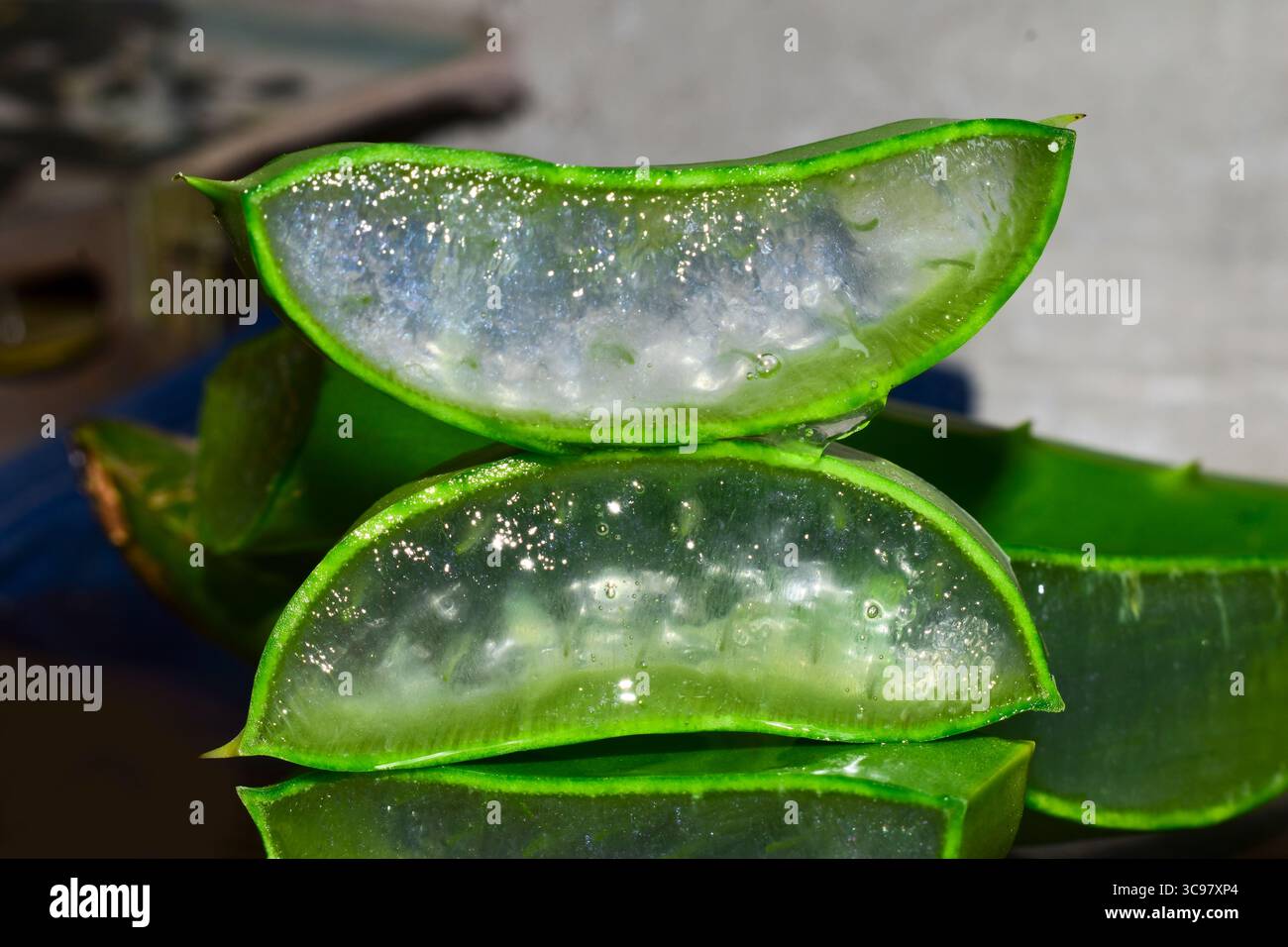 Aloe vera sliced on wooden background, Aloe vera herb Stock Photo