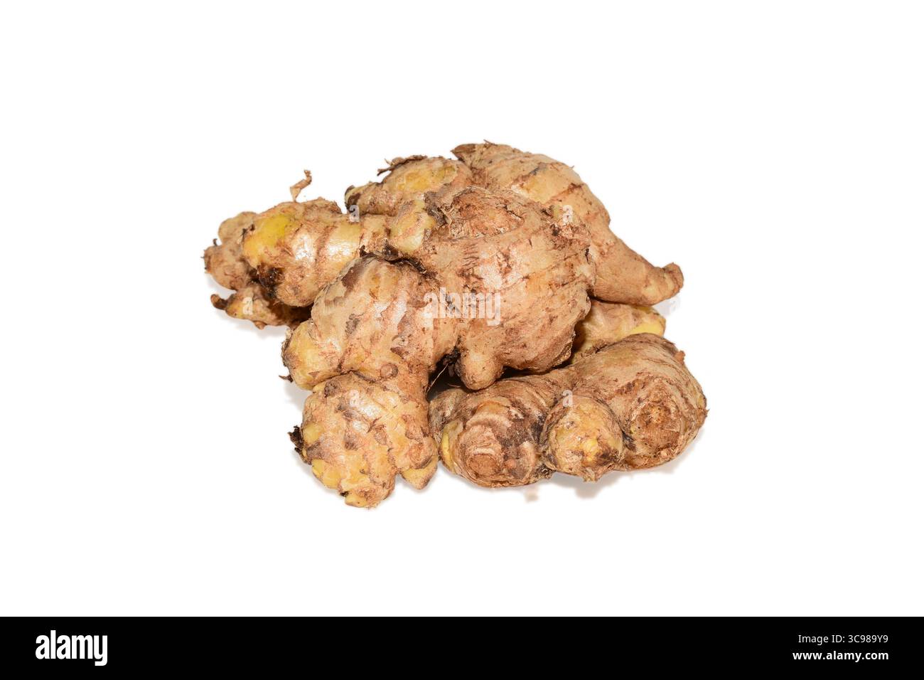 Fresh Ginger ( Zingiber officinale ) isolated on white background Stock Photo