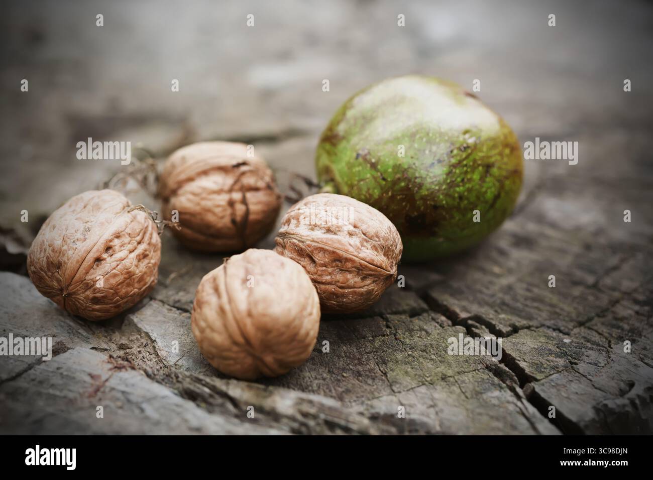 Freshly picked walnuts in shells on log. Nature concept. Selective focus Stock Photo