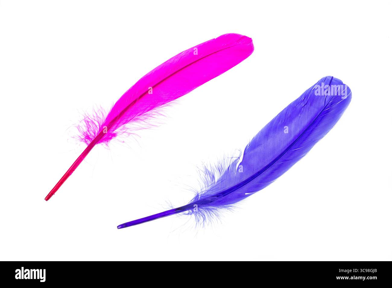 Colorful decorative feathers isolated on white background. Stock Photo