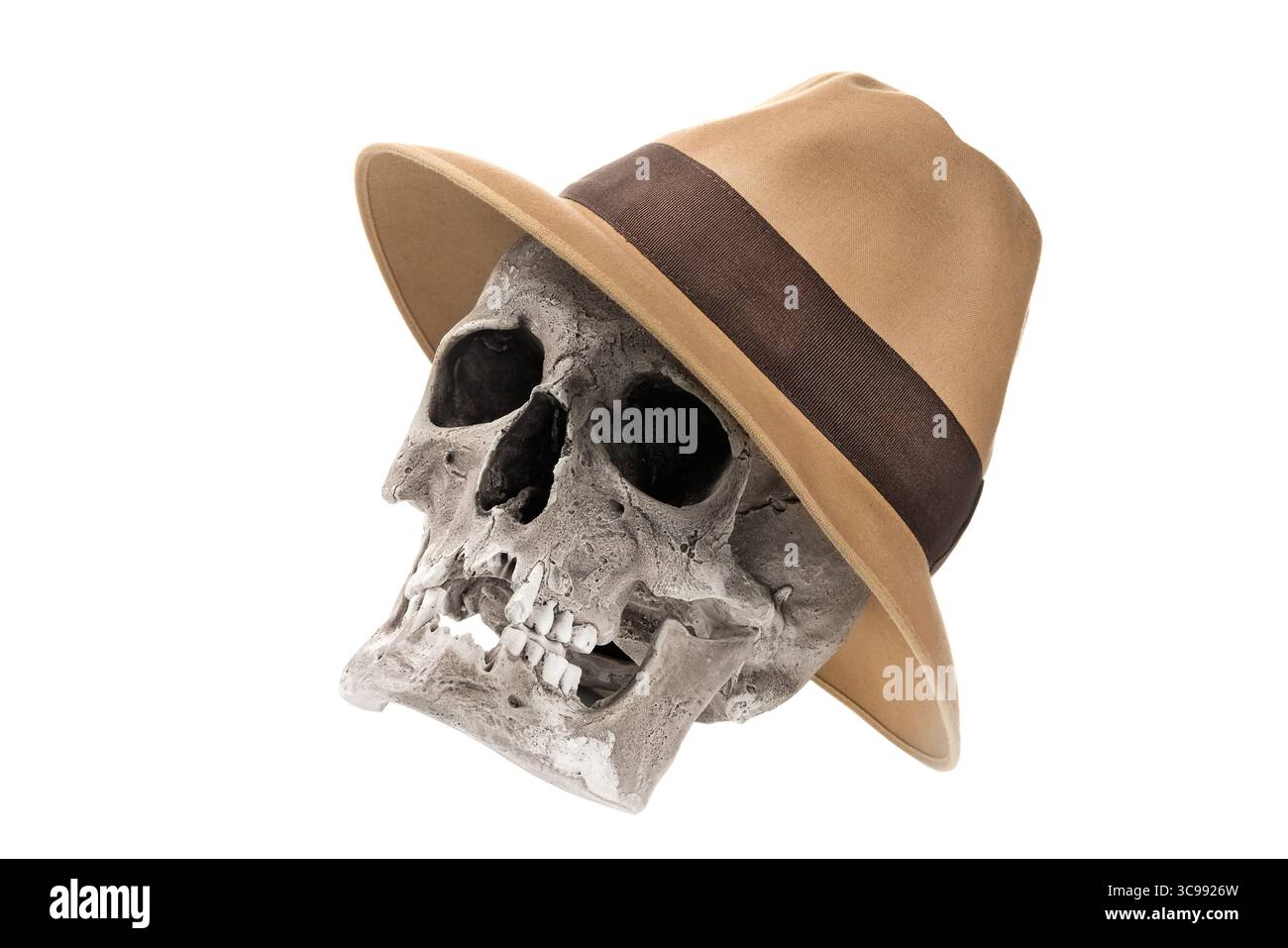 Adventure concept. Human skull with fedora hat isolated on white Stock ...