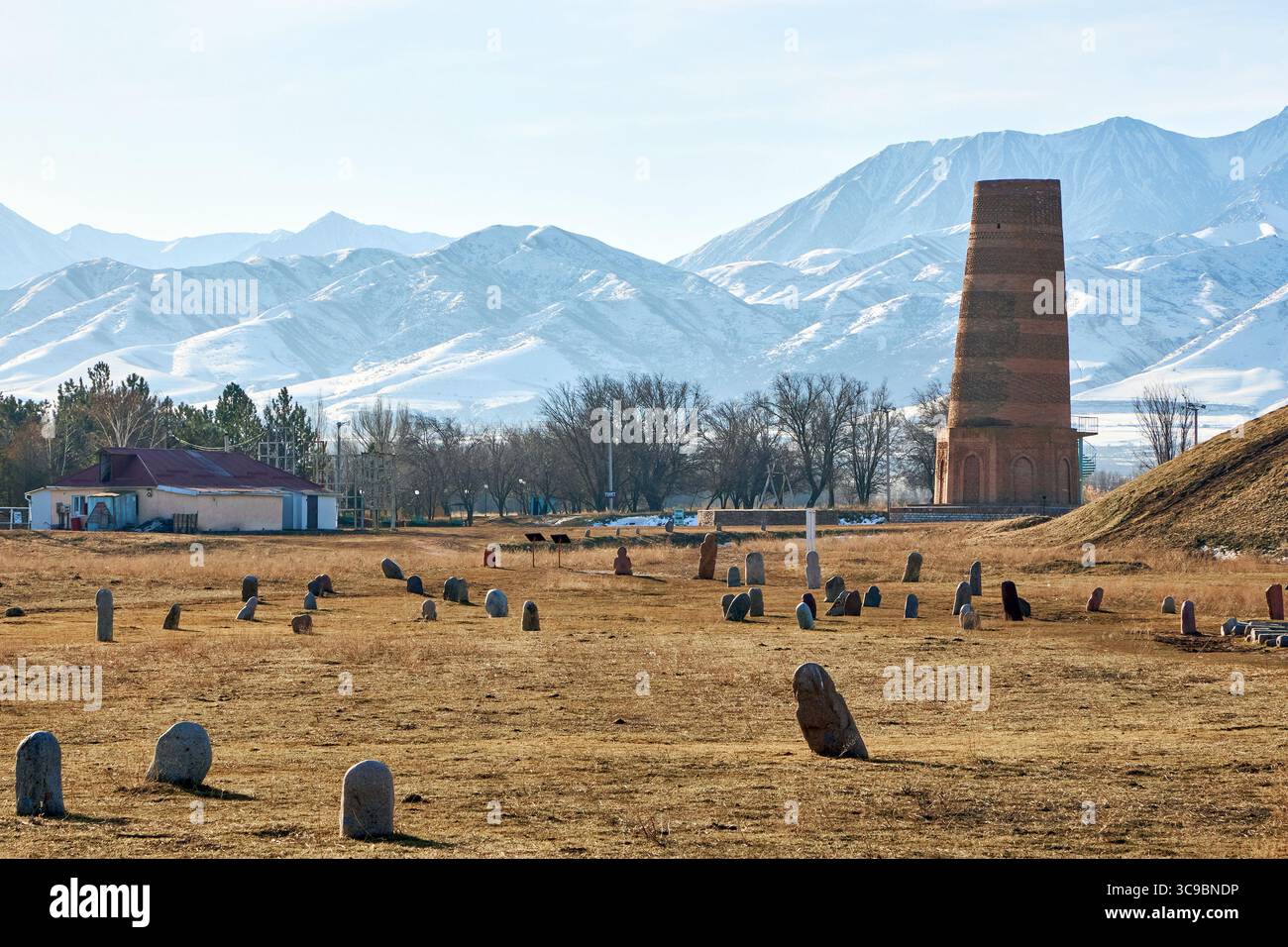 Porno video: badboy mushuk