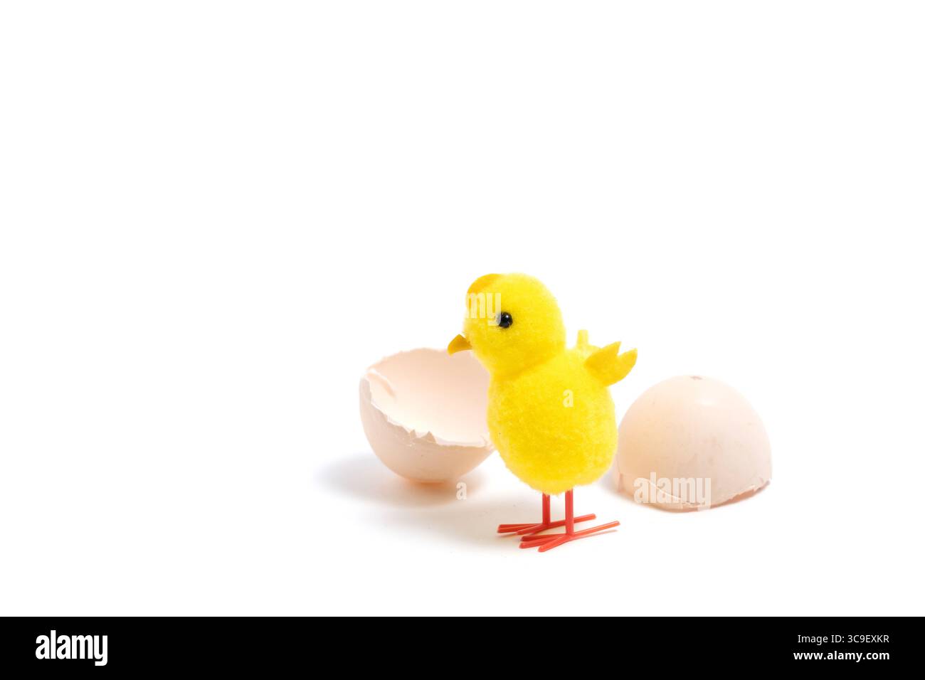 Easter egg and yellow chicken isolated on white background Stock Photo
