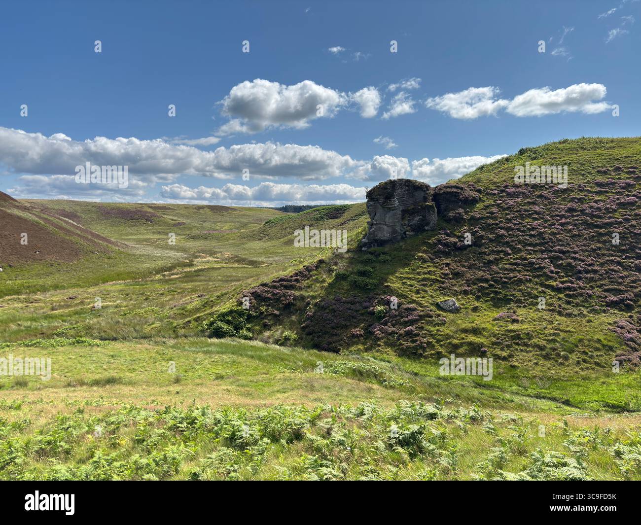 Ancient Pulpit Rock at Harbour Craig near Carlops, framed by summer ...