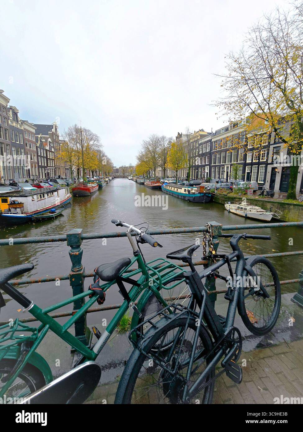 Autumn leaves and bicycles line a peaceful Amsterdam canal path on an overcast day. - Smartphone Captured Stock Image