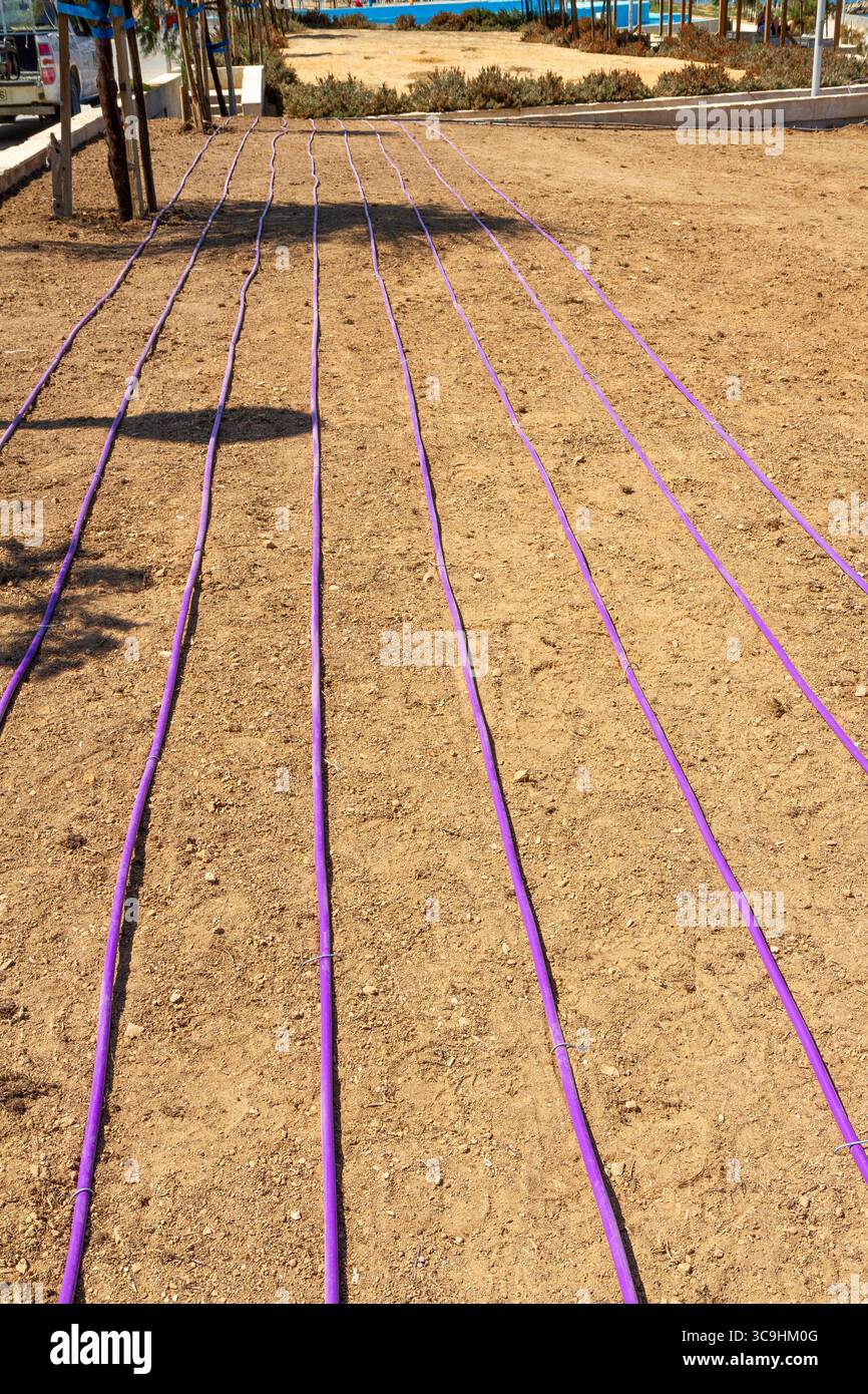 Installing automated watering system in garden field Stock Photo - Alamy