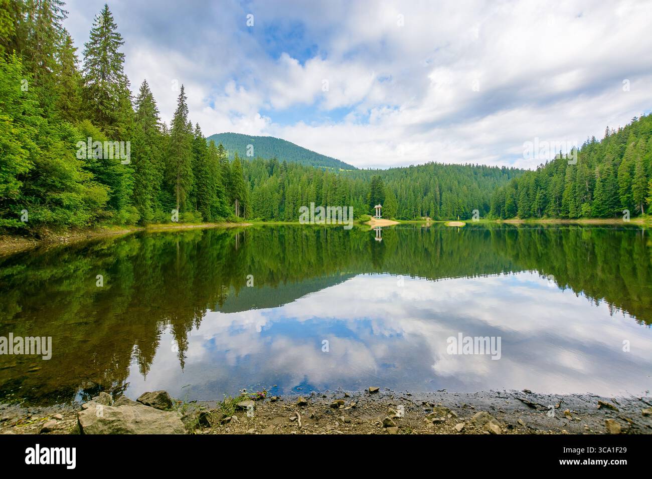 remote mountain landscape with forest lake in summer. travel nature background of synevyr national park on a sunny day. scenic view of coniferous tree Stock Photo