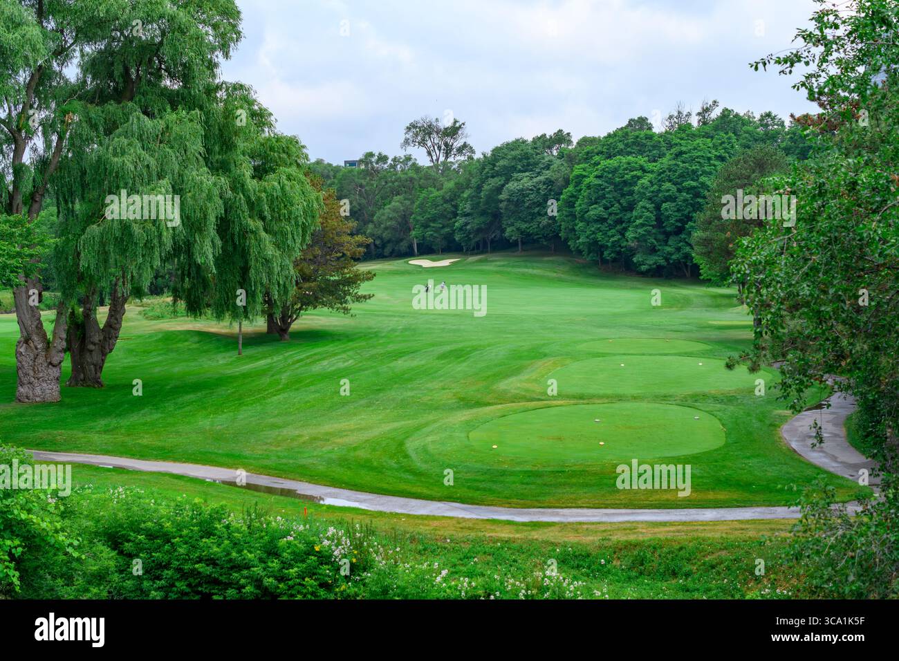 Lush green golf course surrounded by tall trees, with a sand bunker and two golfers in the distance under a cloudy sky. Stock Photo