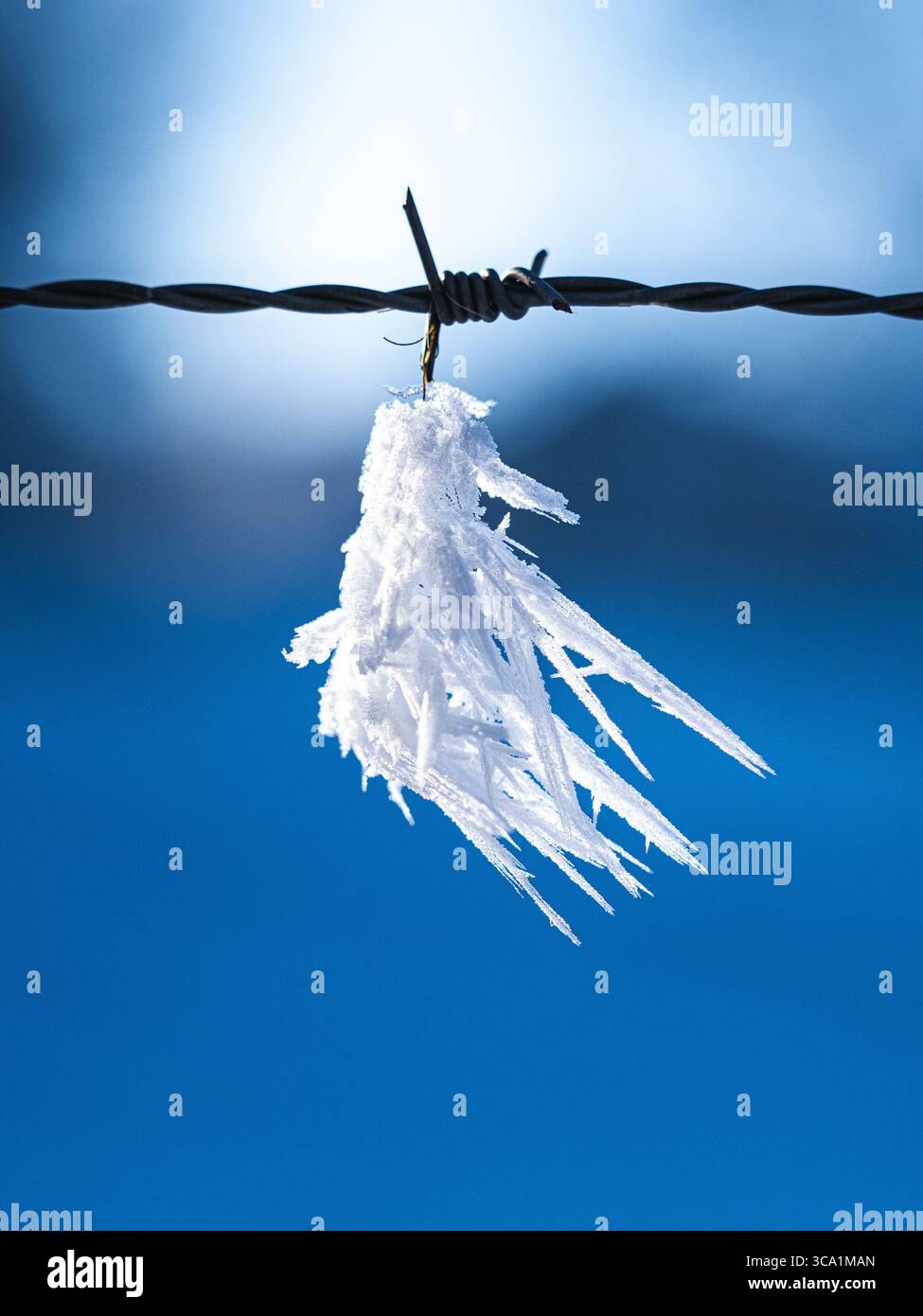 Close-up of sharp ice crystals hanging on barbed wire against a clear blue winter sky in Switzerland Stock Photo