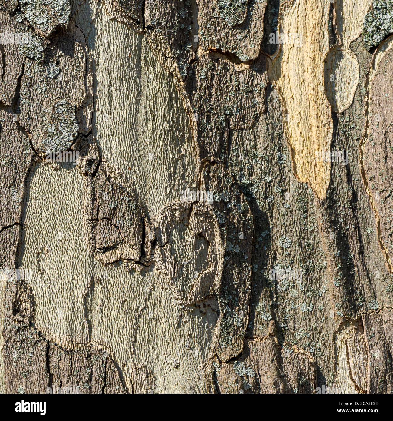 Light textures creates hi-res stock photography and images - Alamy