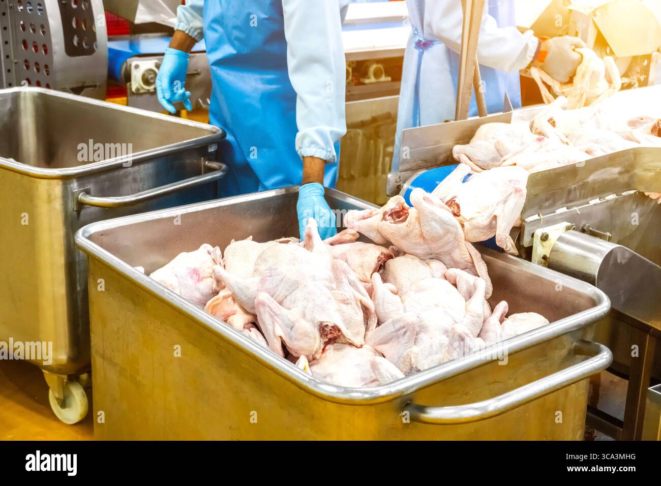 Modern poultry processing plant. Factory for the production of food ...