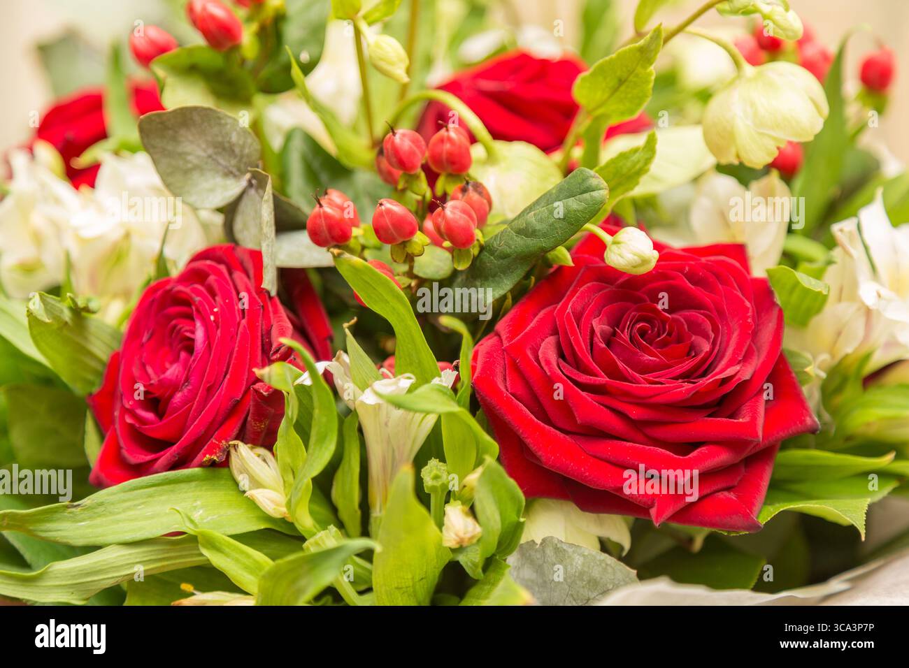 Garden red roses other hi res stock photography and images Alamy